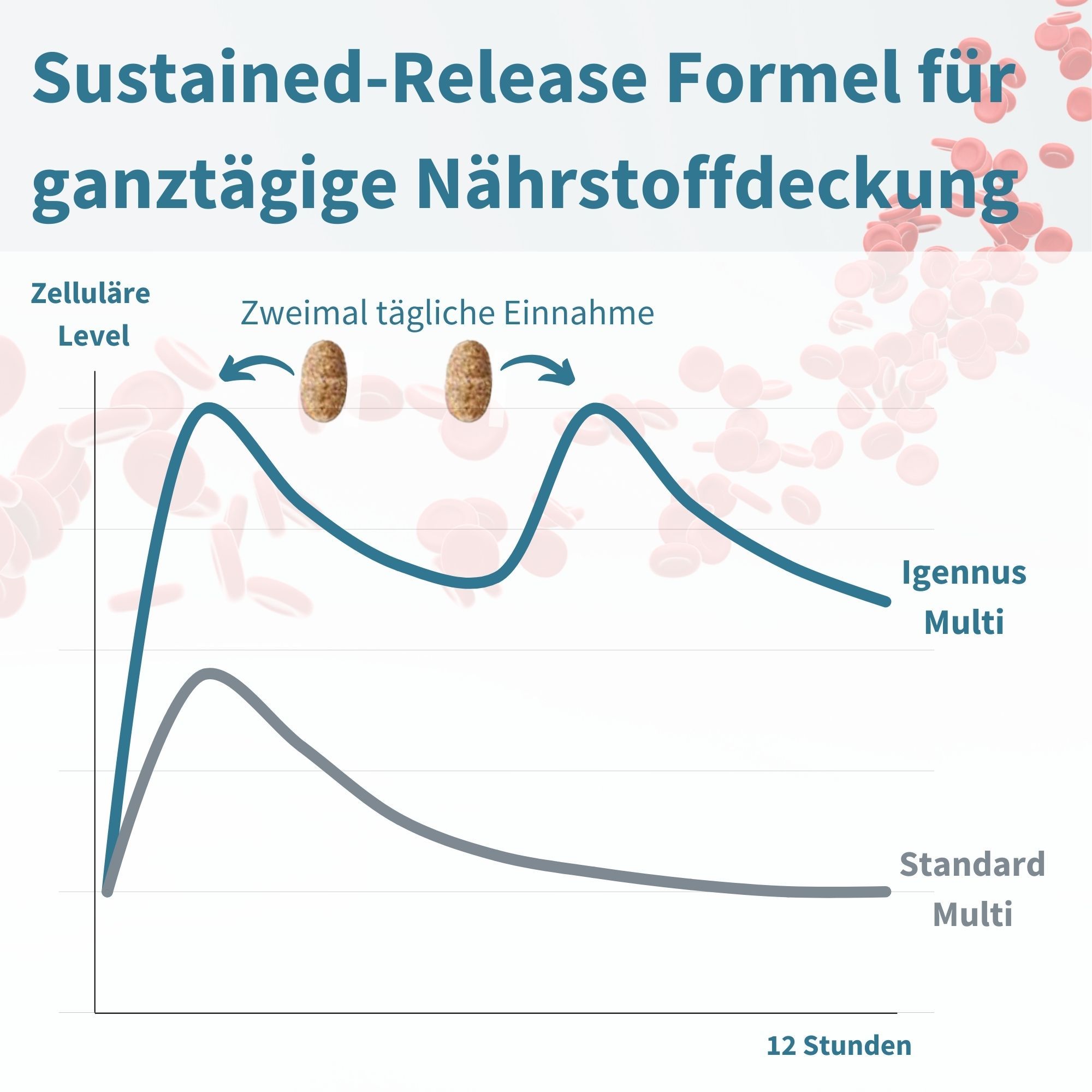 Sustained-Release Formel für ganztägige Nährstoffdeckung mit Igennus Multivitamin.
