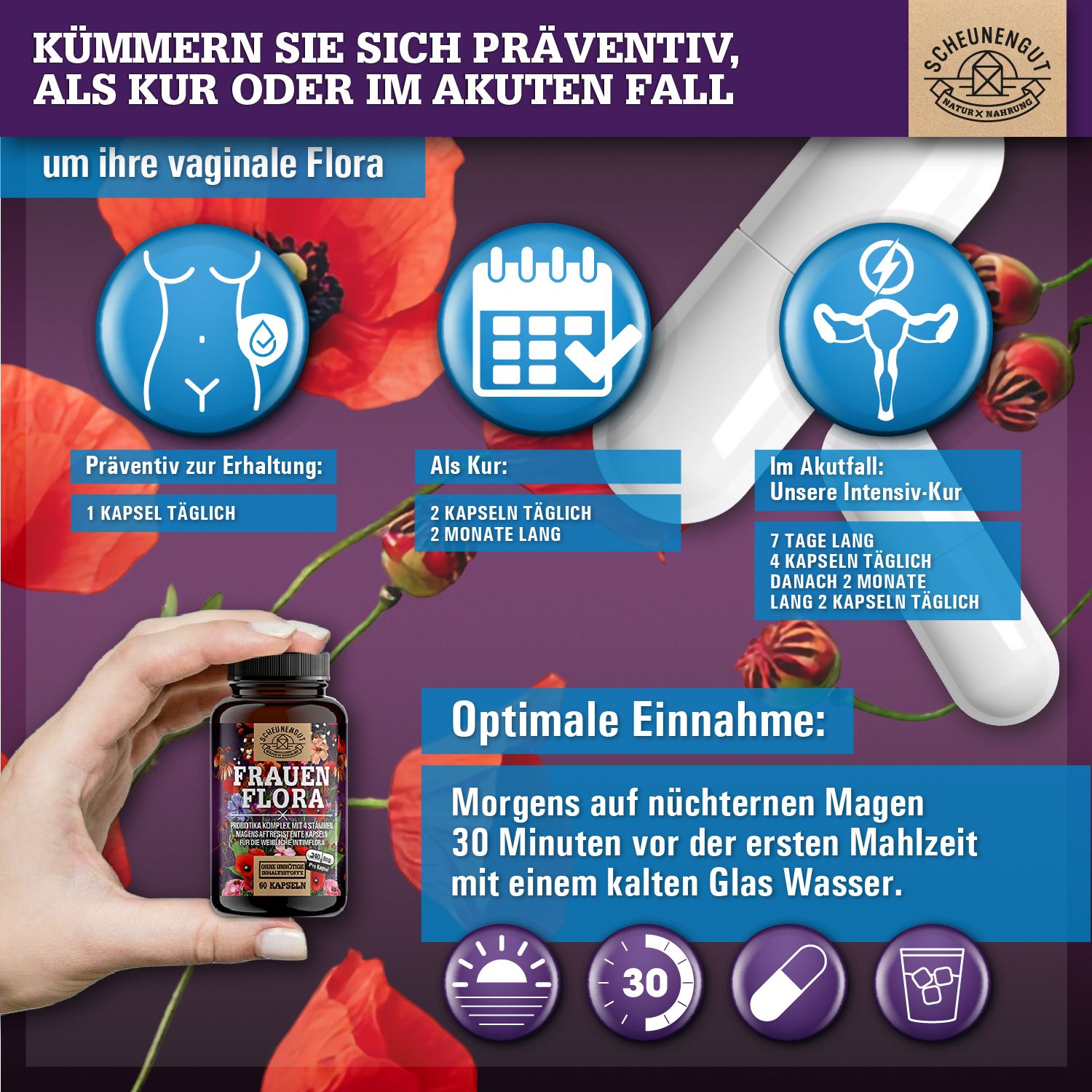 Braune Flasche mit Kapseln. Grafiken zeigen Anwendung: Präventiv, als Kur, im Akutfall. Text: Optimale Einnahme.