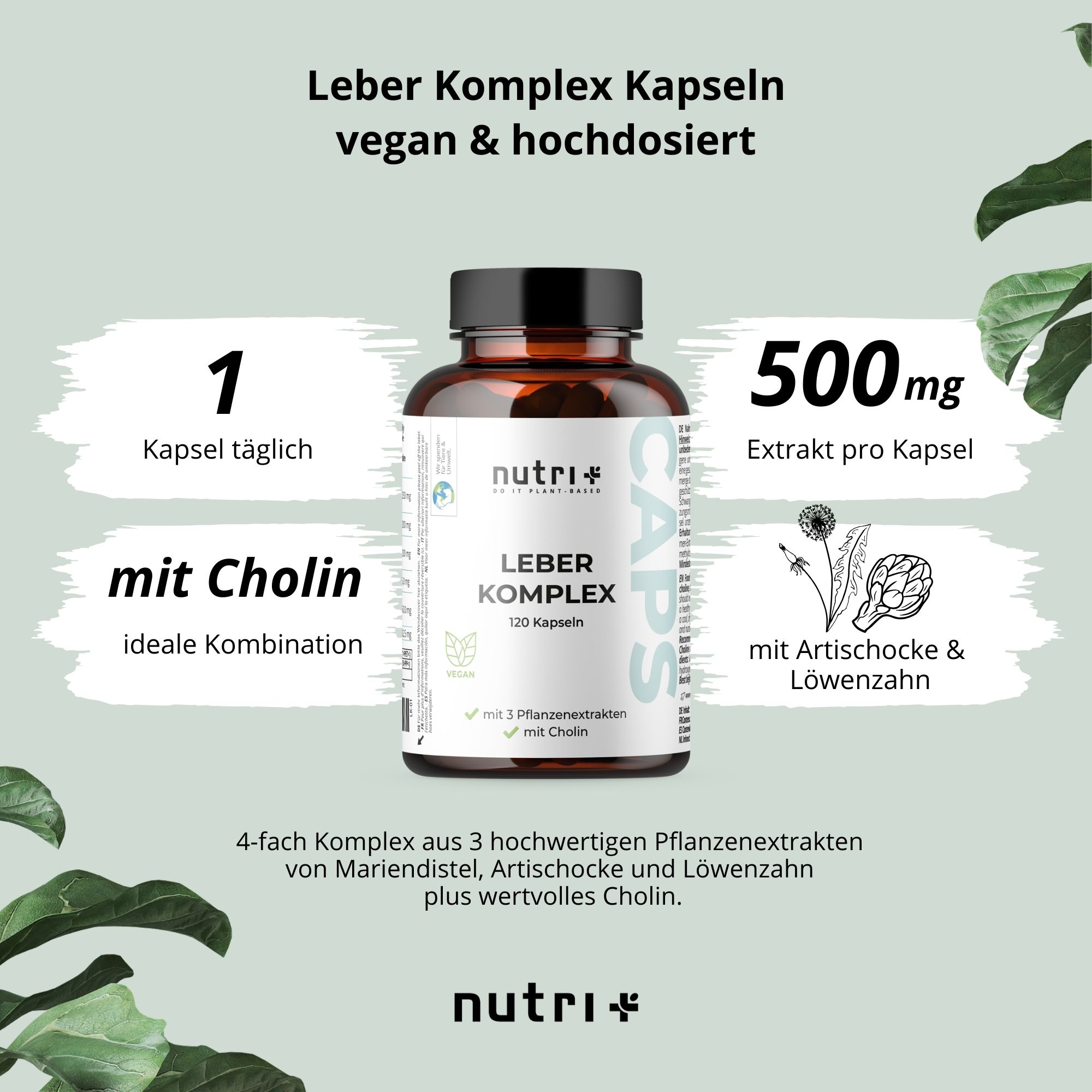Produktflasche mit Text: Leber Komplex Kapseln. 1 Kapsel täglich. 500mg Extrakt pro Kapsel. Mit Artischocke & Löwenzahn.