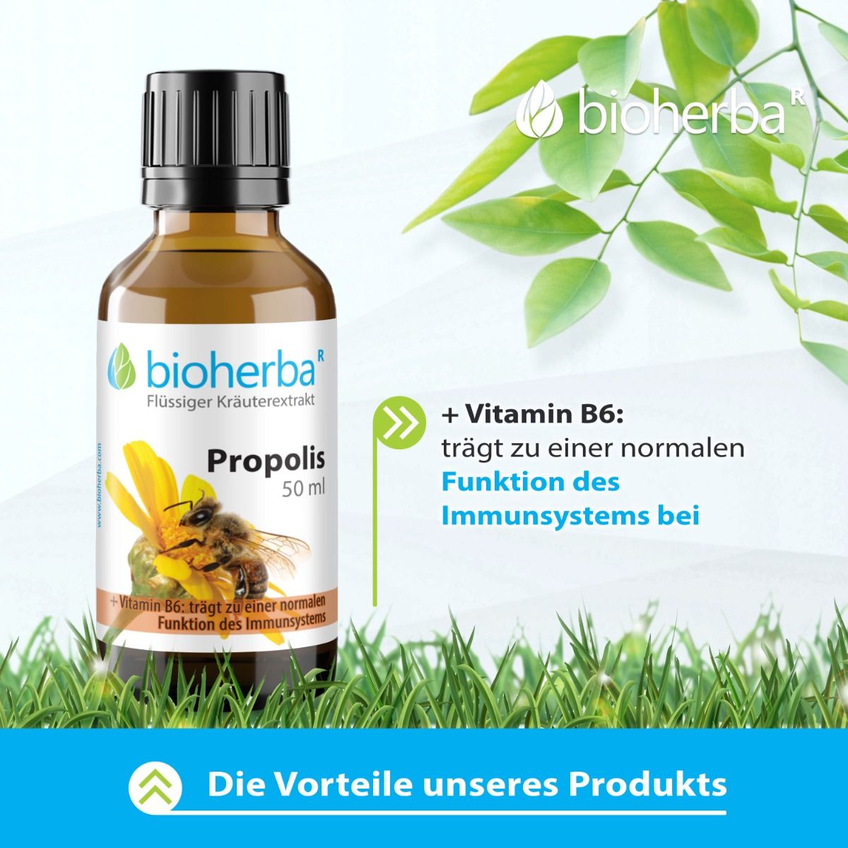 Braune Glasflasche Bioherba Propolis Tropfen, 50 ml. Schwarzer Deckel. Etikett mit Biene, Blüte, Text. Hintergrund: Gras, Blätter.