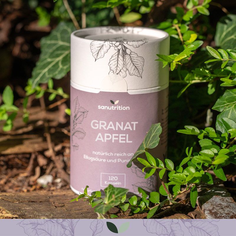 Zylindrische Dose 'Sanutrition Granatapfel' in Grün. Text: '120 Kapseln'. Hintergrund: Blätter und Holz. Produkt im Freien platziert.