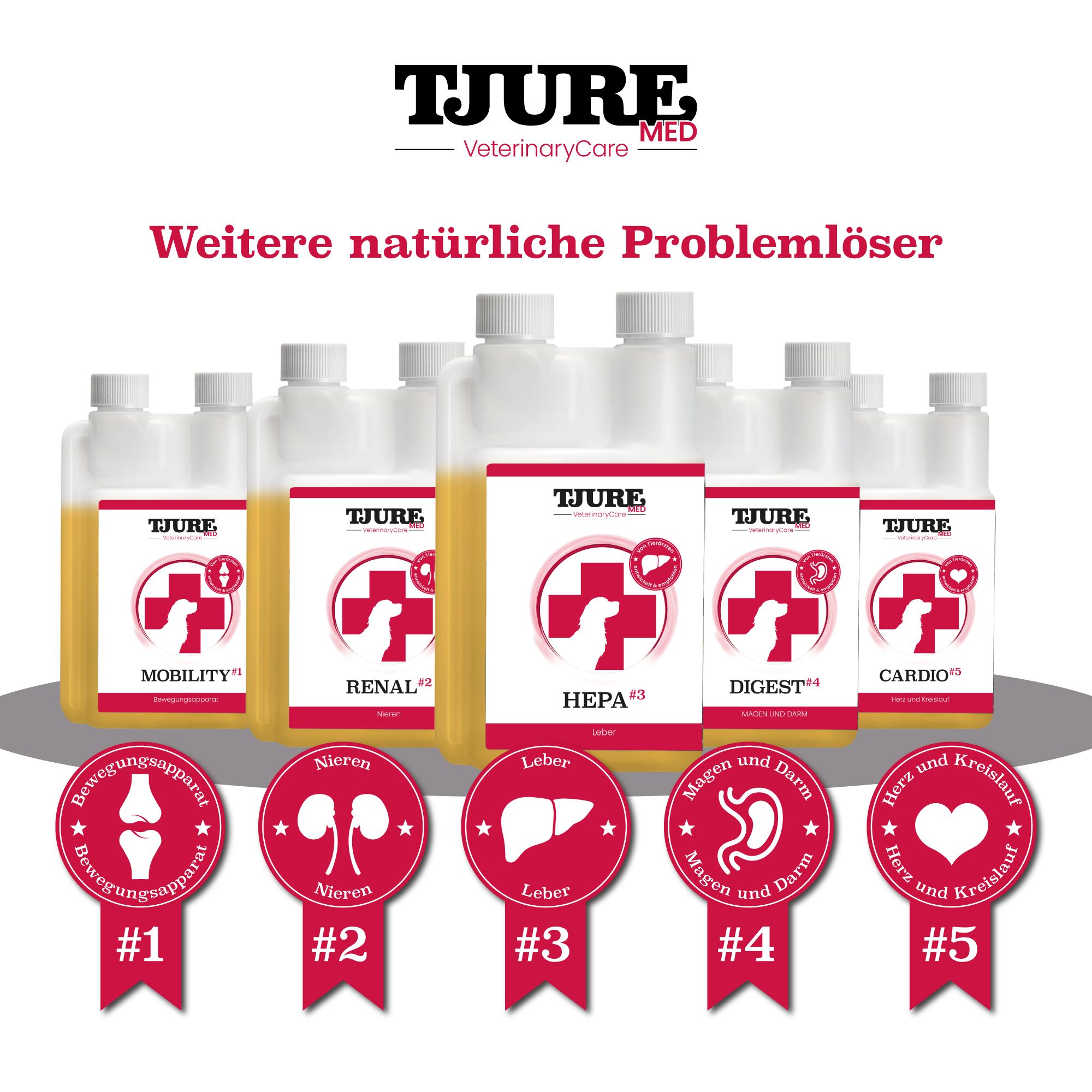 Mehrere Flaschen mit gelber Flüssigkeit. Etiketten mit verschiedenen Produktnamen: MOBILITY, RENAL, HEPA #3, DIGEST, CARDIO. TJURE MED.