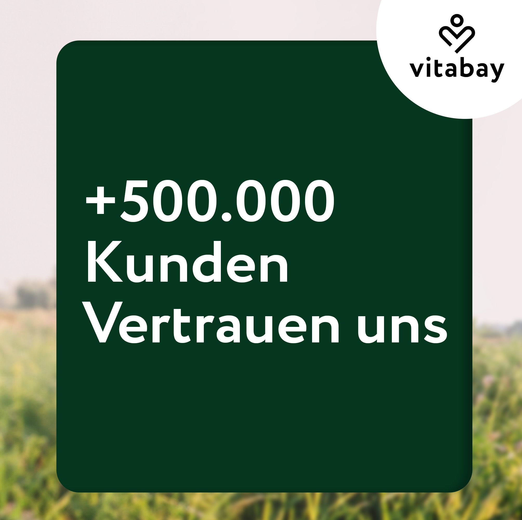 Grüner Hintergrund mit Text: +500.000 Kunden vertrauen uns. Vitabay Logo.