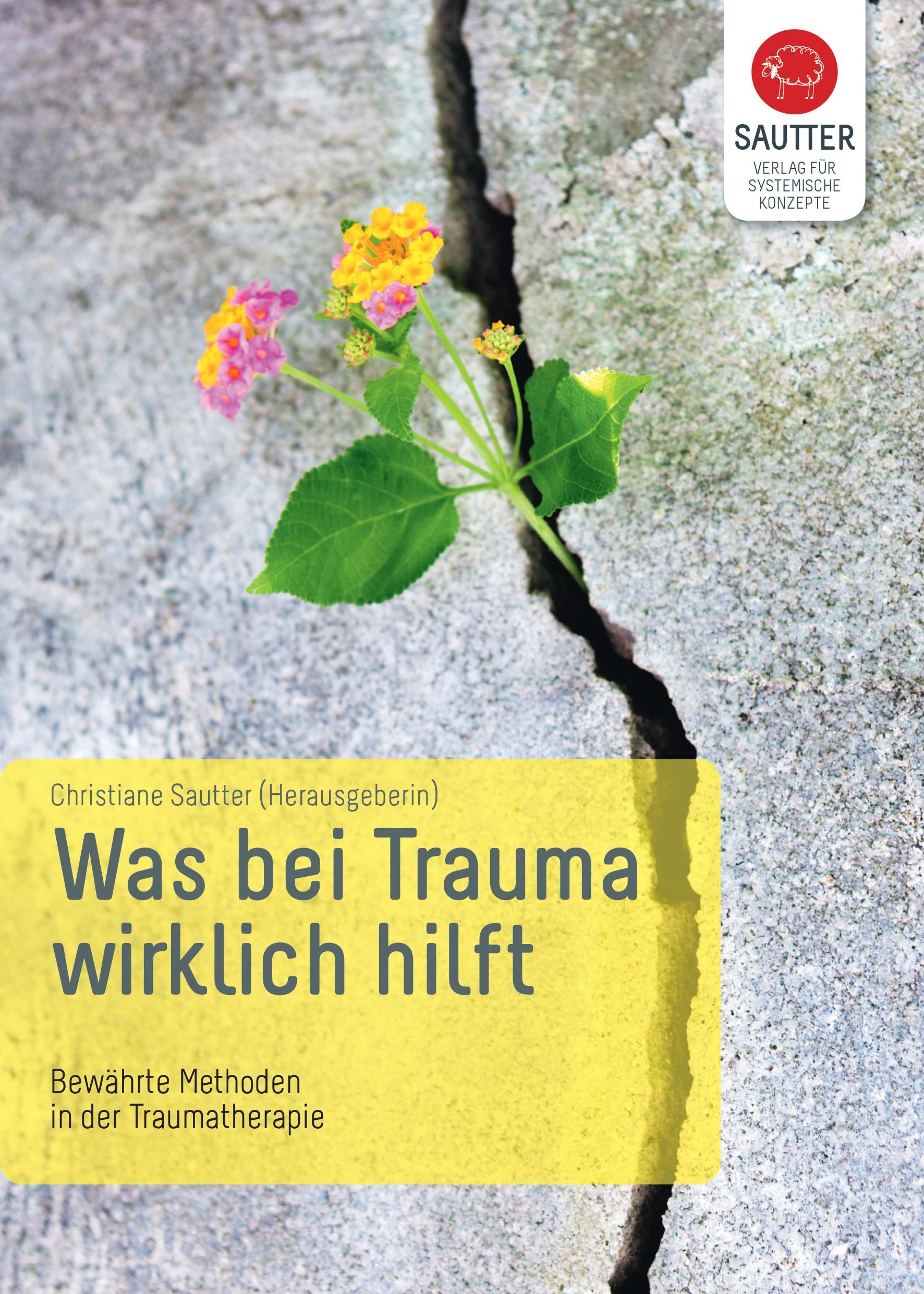 Buchcover: "Was bei Trauma wirklich hilft". Titel in großer Schrift. Autorin: Christiane Sautter. Verlag: Sautter Verlag.