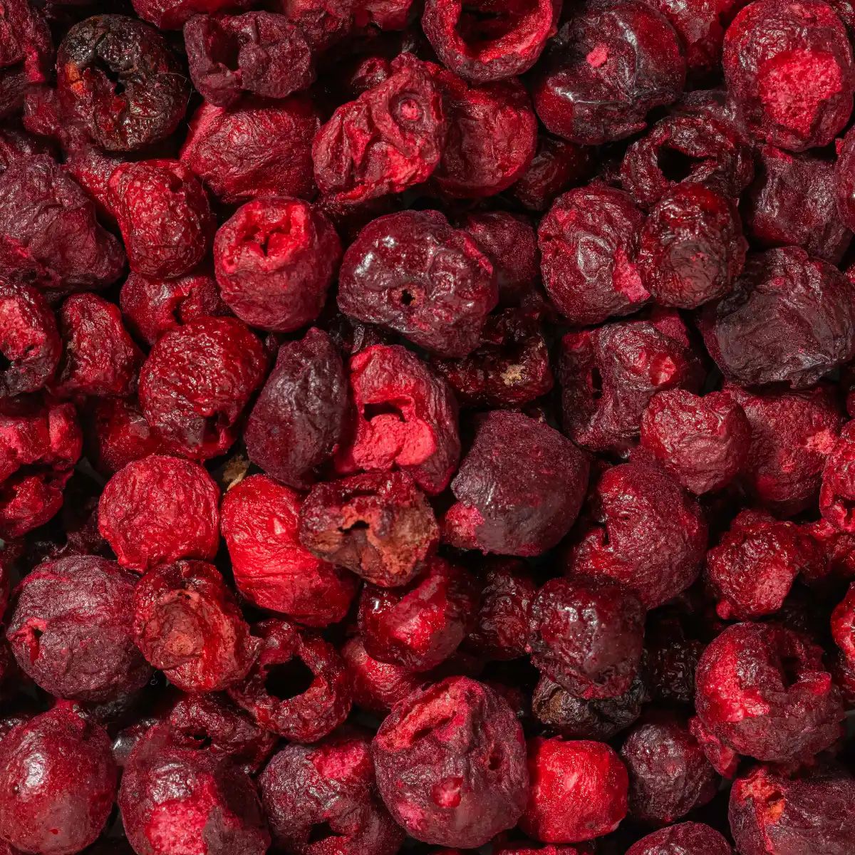 Nahaufnahme von gefriergetrockneten Sauerkirschen. Rote, runzlige Früchte.