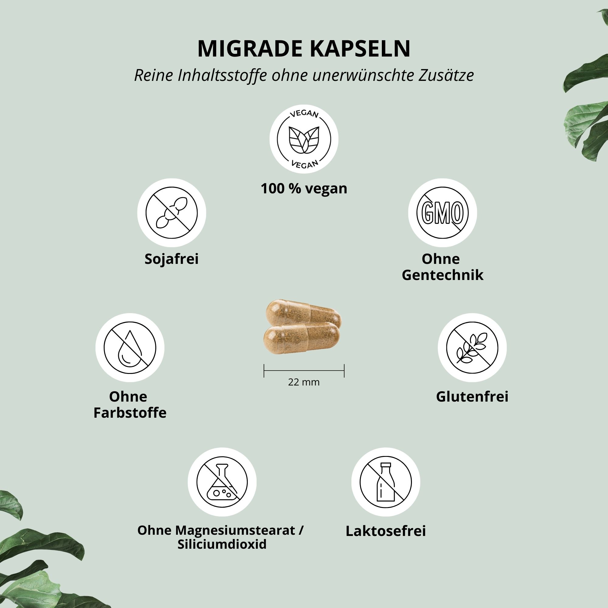 Zwei Kapseln, 22 mm, mit Produktinformationen und veganen Siegeln. Aufschrift: Migrade Kapseln, 100% vegan, ohne Zusätze.