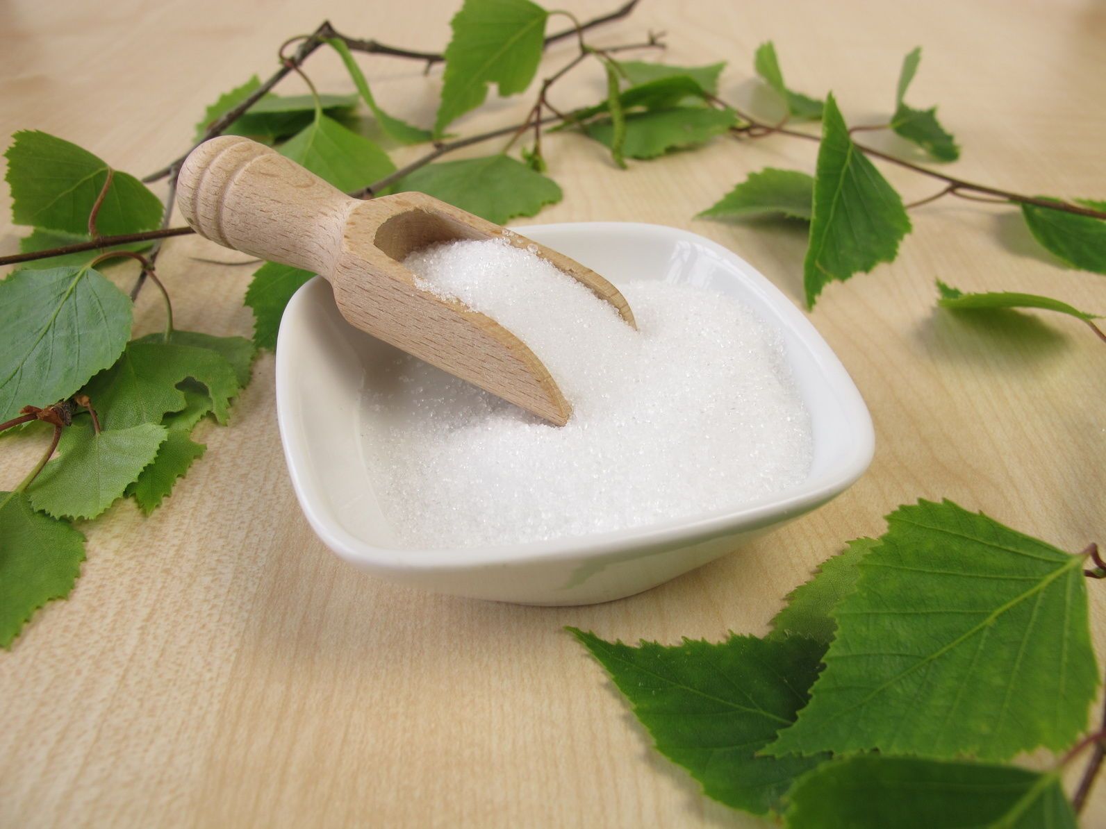Weiße, kristalline Substanz in einer weißen Schale mit einem Holzschöpfer. Grüne Blätter umgeben die Schale.