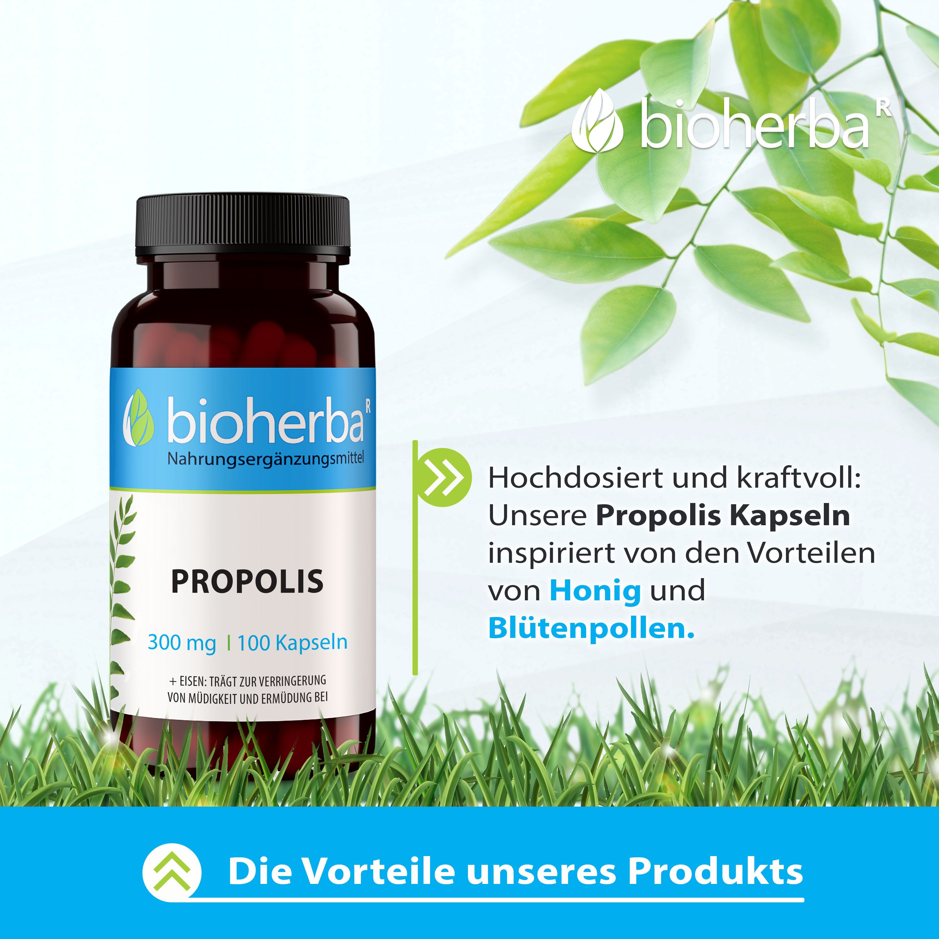 Braune Flasche Bioherba Propolis Kapseln. 100 Kapseln, 300 mg. Text: Vorteile unseres Produkts. Grünpflanze im Hintergrund.