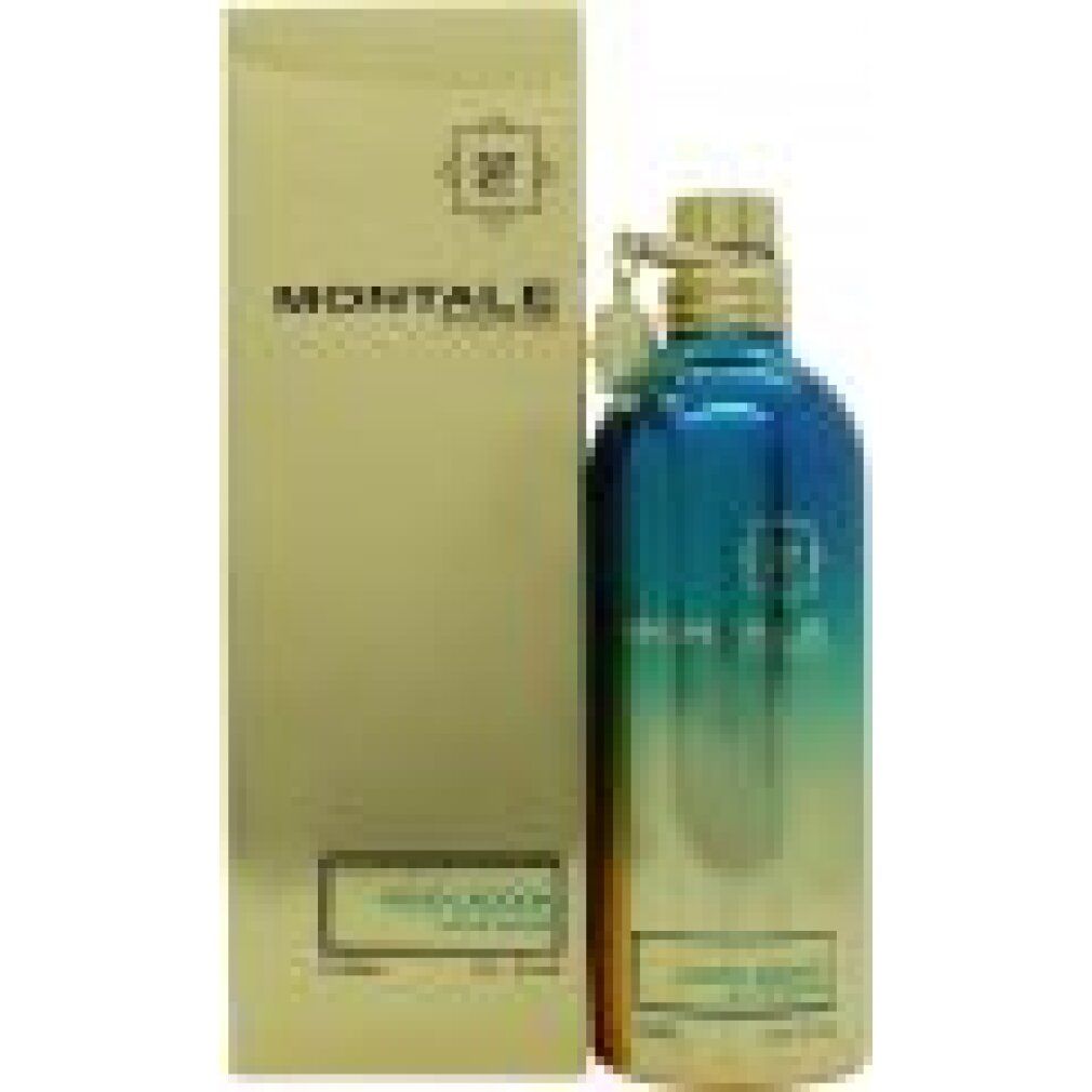 Montale Aoud Lagoon Eau de Parfum  Spray