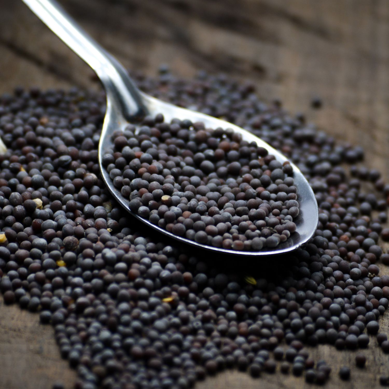Löffel mit schwarzen Senfkörnern. Der Löffel liegt auf einer Oberfläche mit verstreuten Senfkörnern.