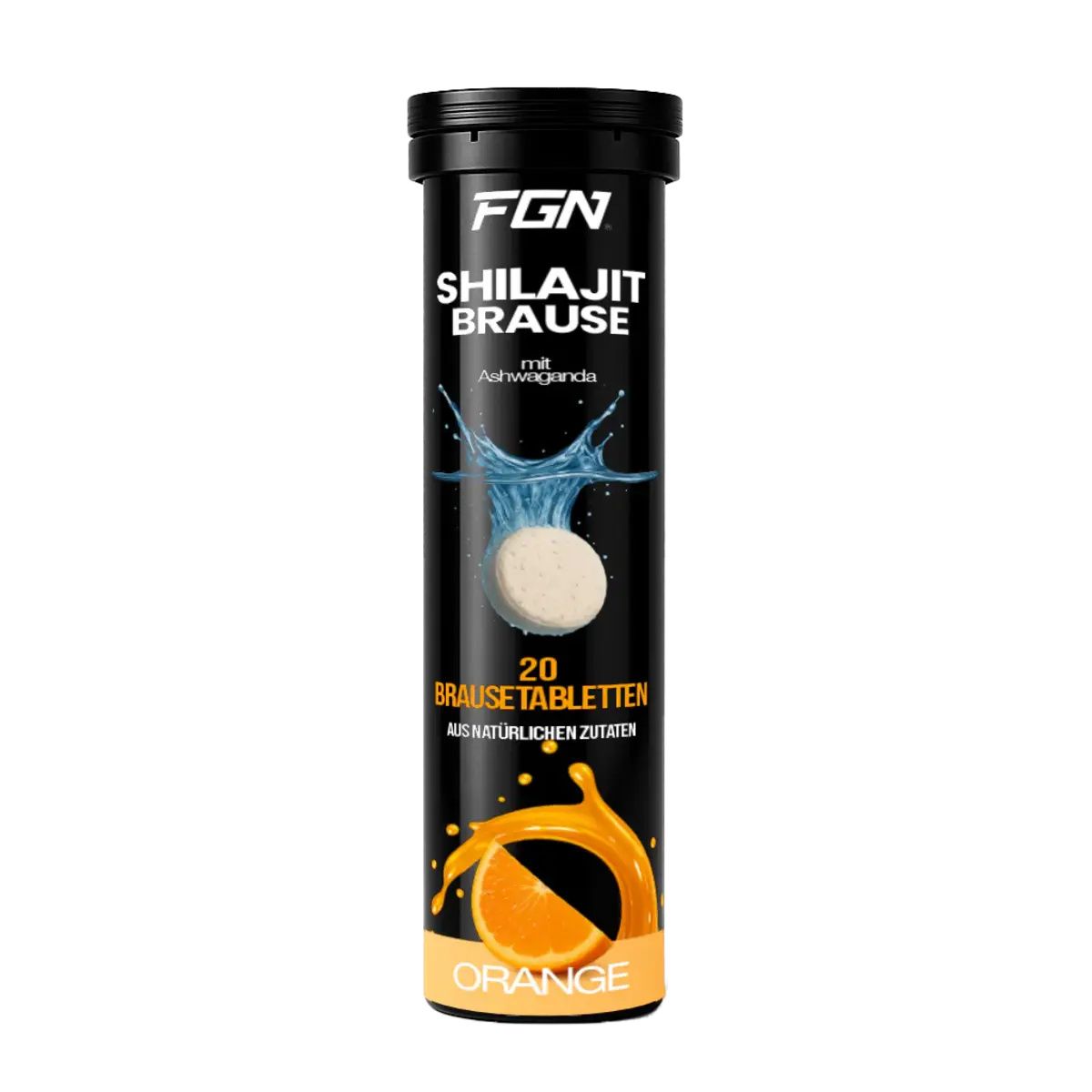 FGN Shilajit Brausetabletten