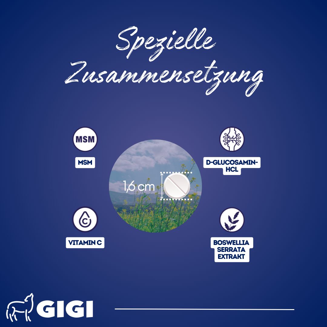 Nahaufnahme einer Tablette, 1,6 cm. Inhaltsstoffe: MSM, Vitamin C, D-Glucosamin-HCL, Boswellia serrata Extrakt. GIGI Logo.