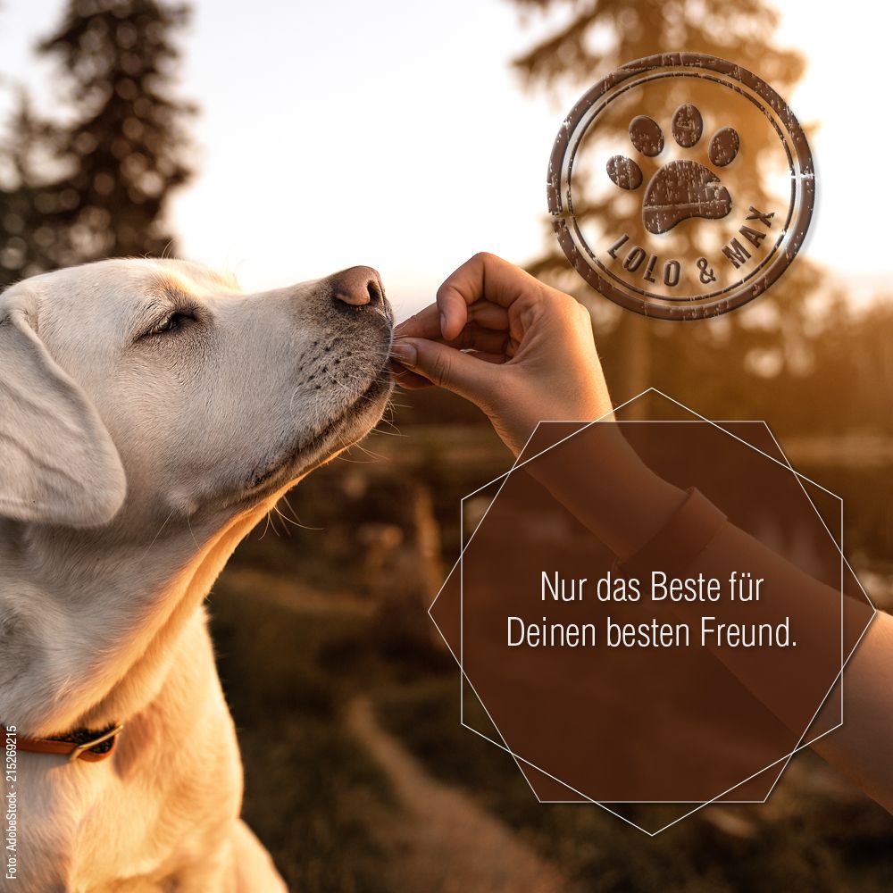 Lolo & Max - Multimineral Pulver für Hunde und Katzen