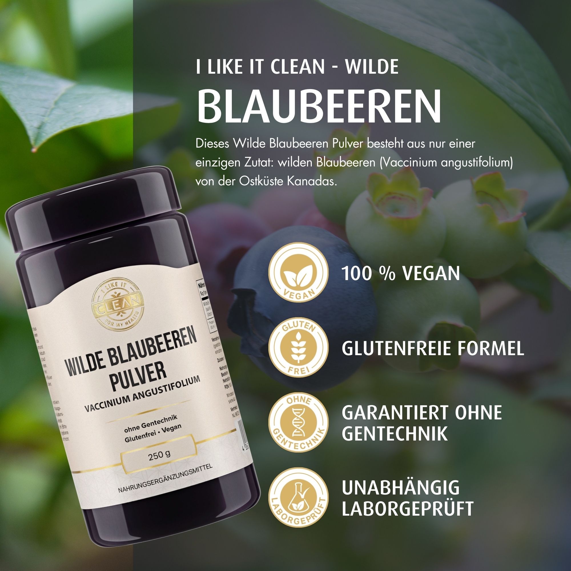 Dunkle Dose mit Pulver. Aufschrift: Wilde Blaubeeren Pulver. Logos: Vegan, glutenfrei, ohne Gentechnik, laborgeprüft. Inhalt: 250 g.