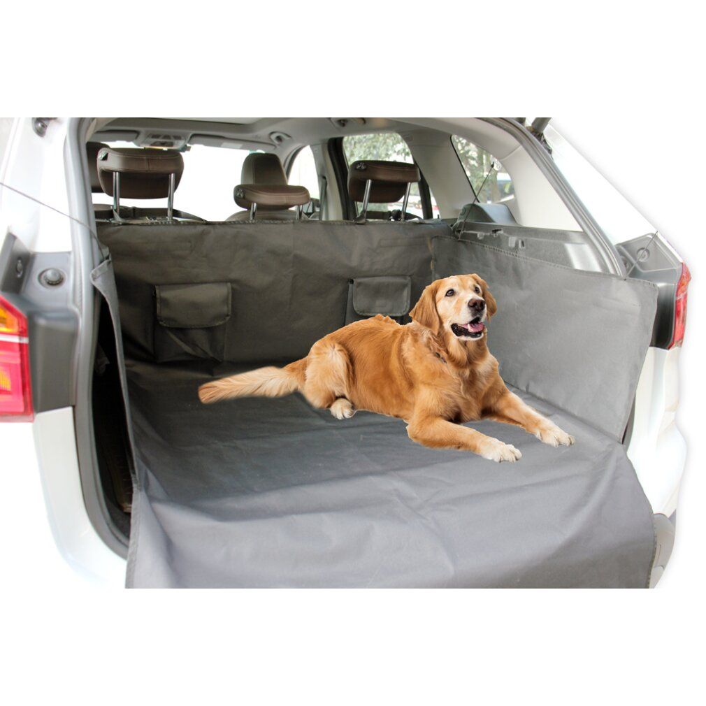 Graue Kofferraumabdeckung im Auto. Ein Hund liegt auf der Abdeckung. Die Abdeckung bedeckt den Kofferraumboden und die Seiten.