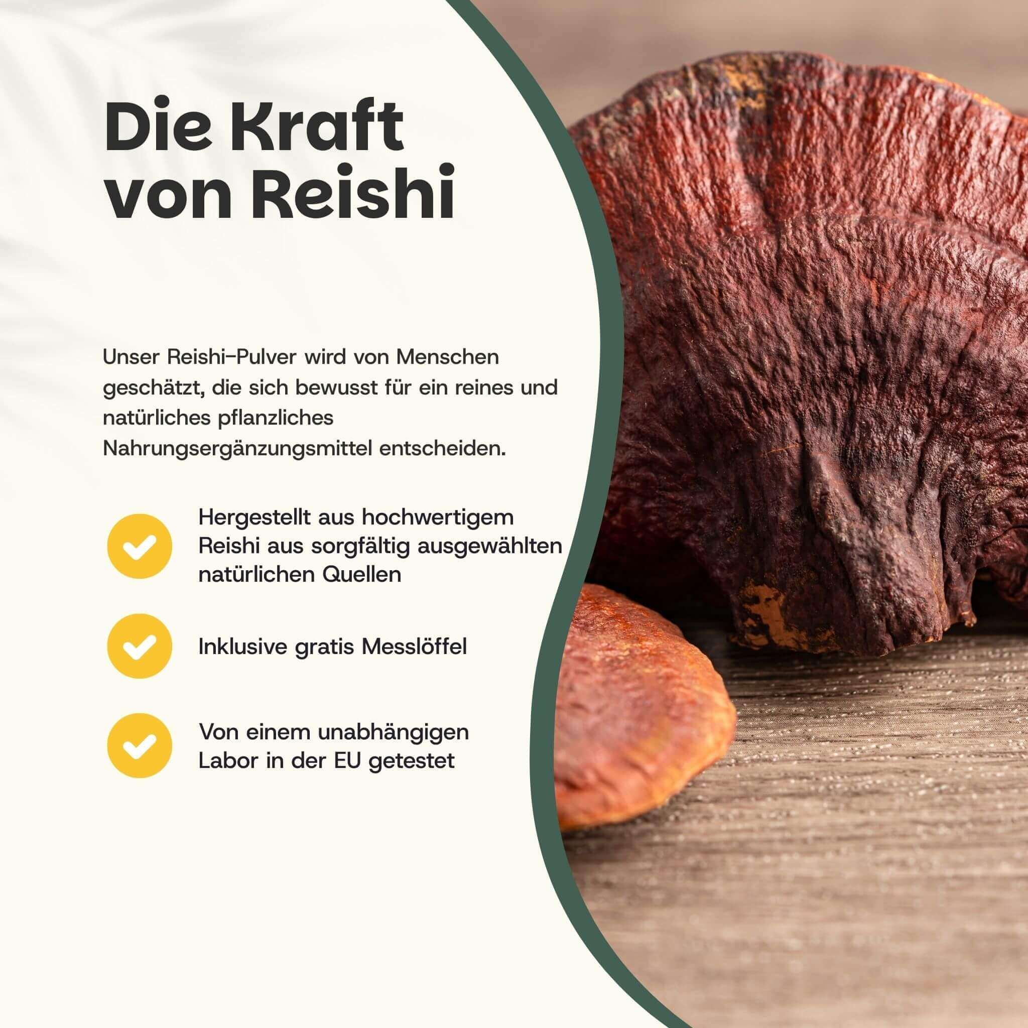 Text: Die Kraft von Reishi. Text und Logos. Reishi-Pilz im Hintergrund.