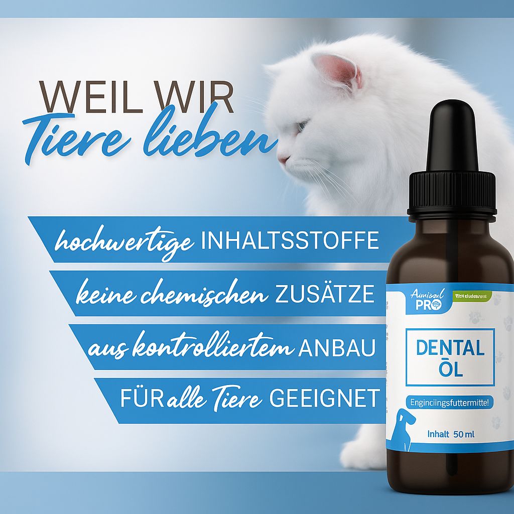 Braune Glasflasche mit schwarzem Tropfer. Etikett mit "Animal Pro" und "Dental Öl". Katze im Hintergrund.