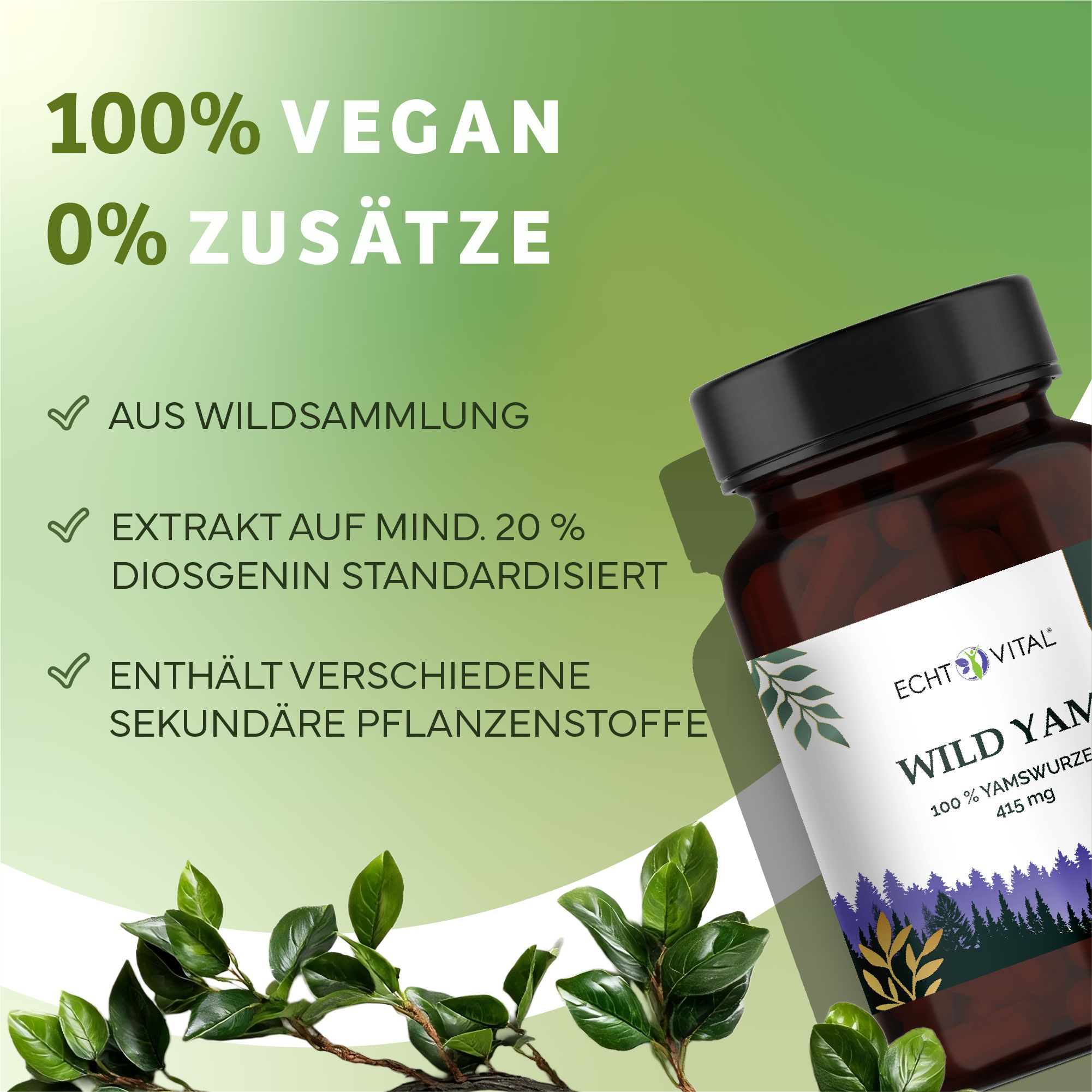 Braune Glasflasche mit schwarzem Deckel. Aufschrift: Echt Vital Wild Yam, 100% Yamswurzel, 415 mg. Zusätzliche Textinformationen.