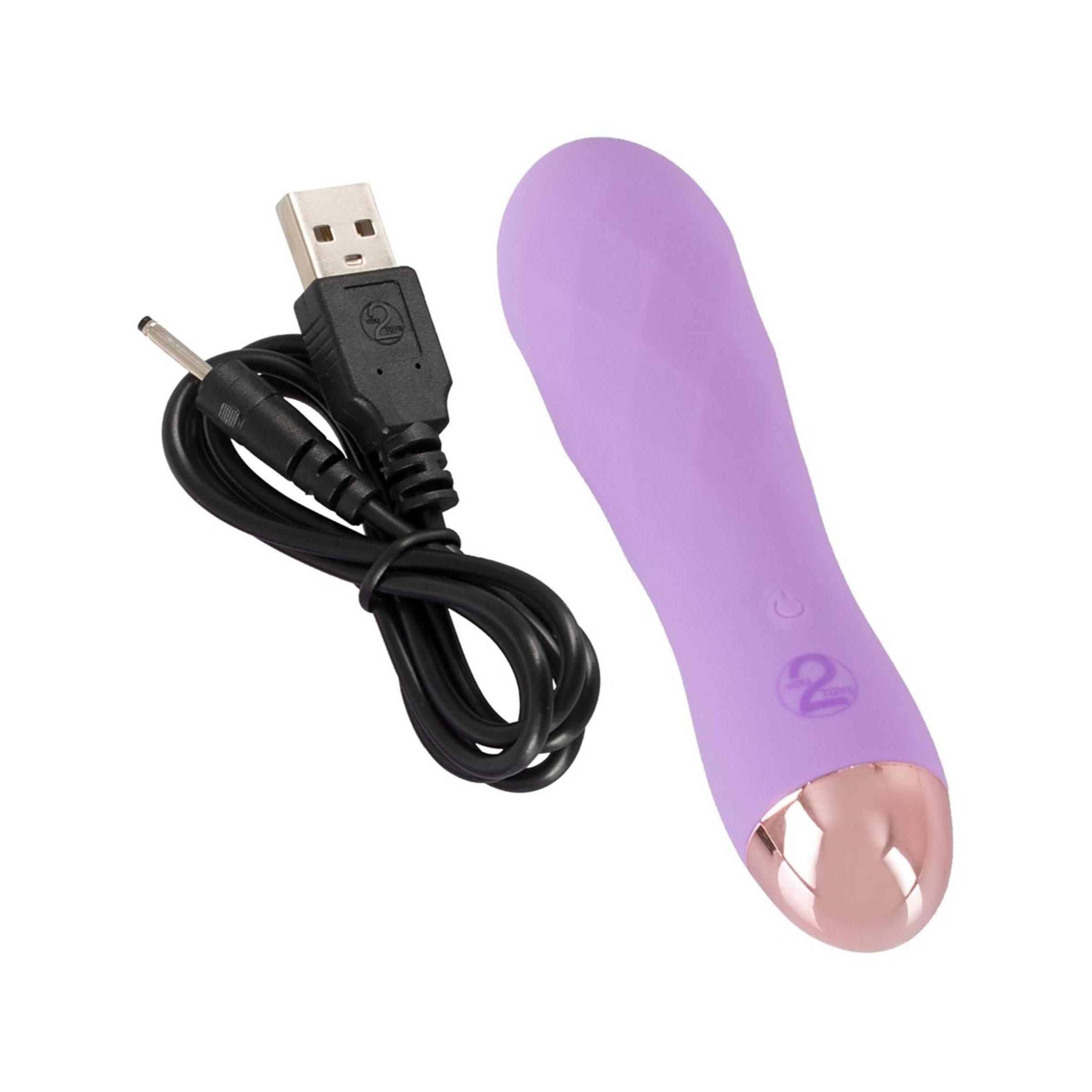 Lila Vibrator mit USB-Ladekabel. Goldfarbene Spitze, Bedienknöpfe. Auf weißem Hintergrund.