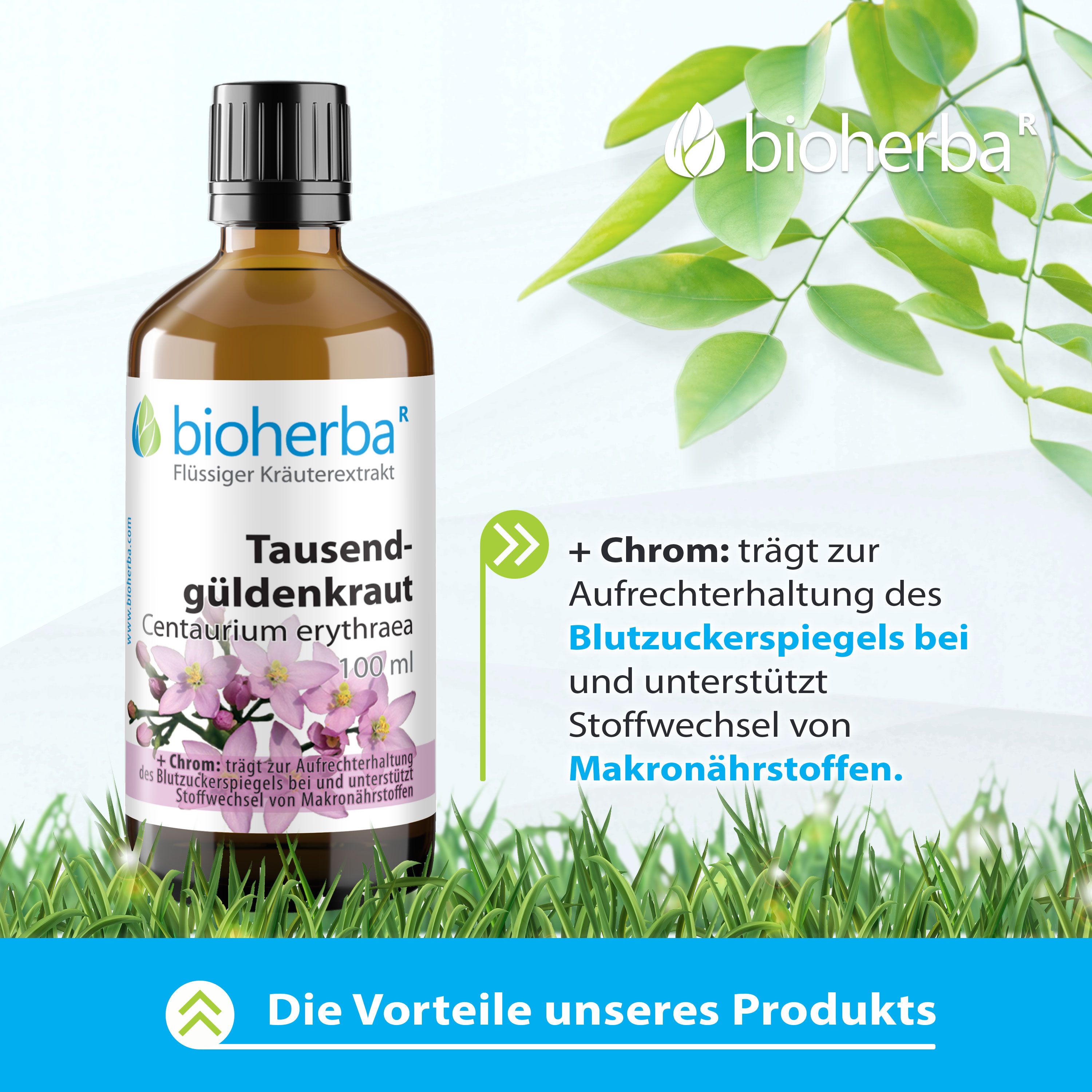 Bioherba Tausendgüldenkraut Tropfen, 100 ml Flasche. Aufschrift: Centaurium erythraea. Mit Chrom. Auf Rasen und Blättern.