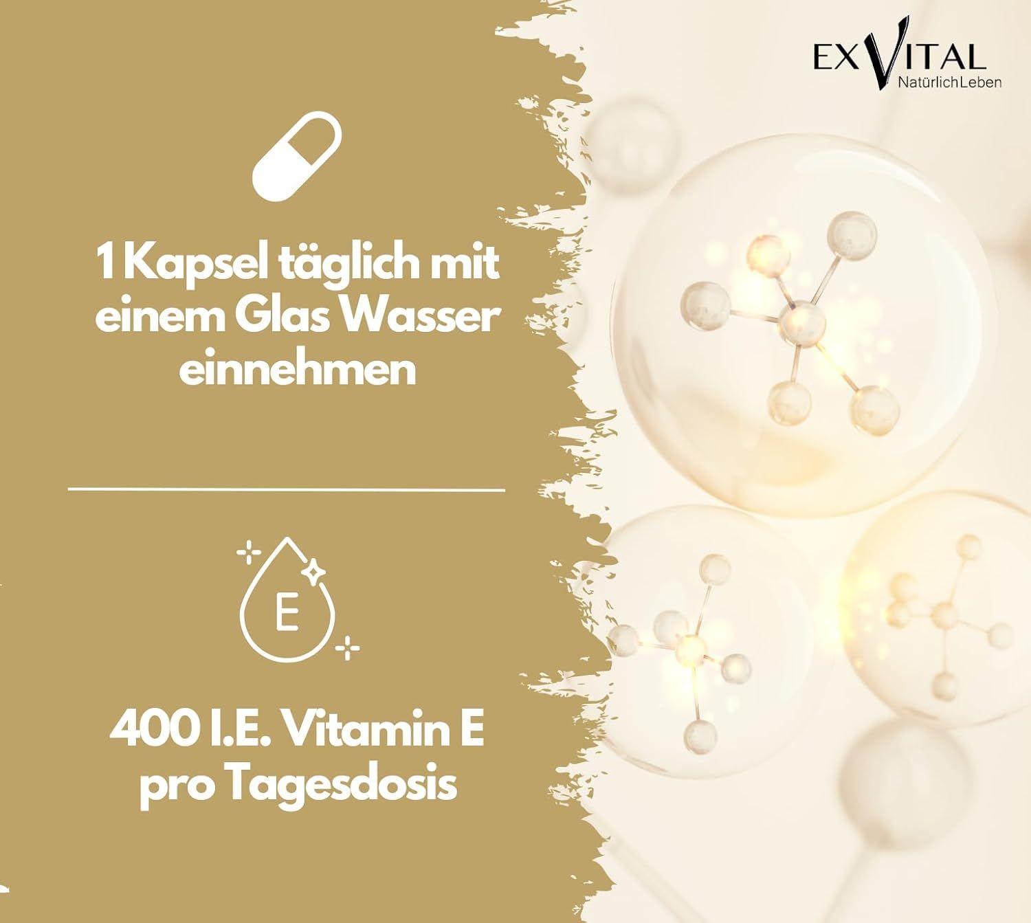 Grafik mit Kapsel-Symbol und Text: 1 Kapsel täglich mit Wasser. 400 I.E. Vitamin E pro Tagesdosis. EXVital Logo.
