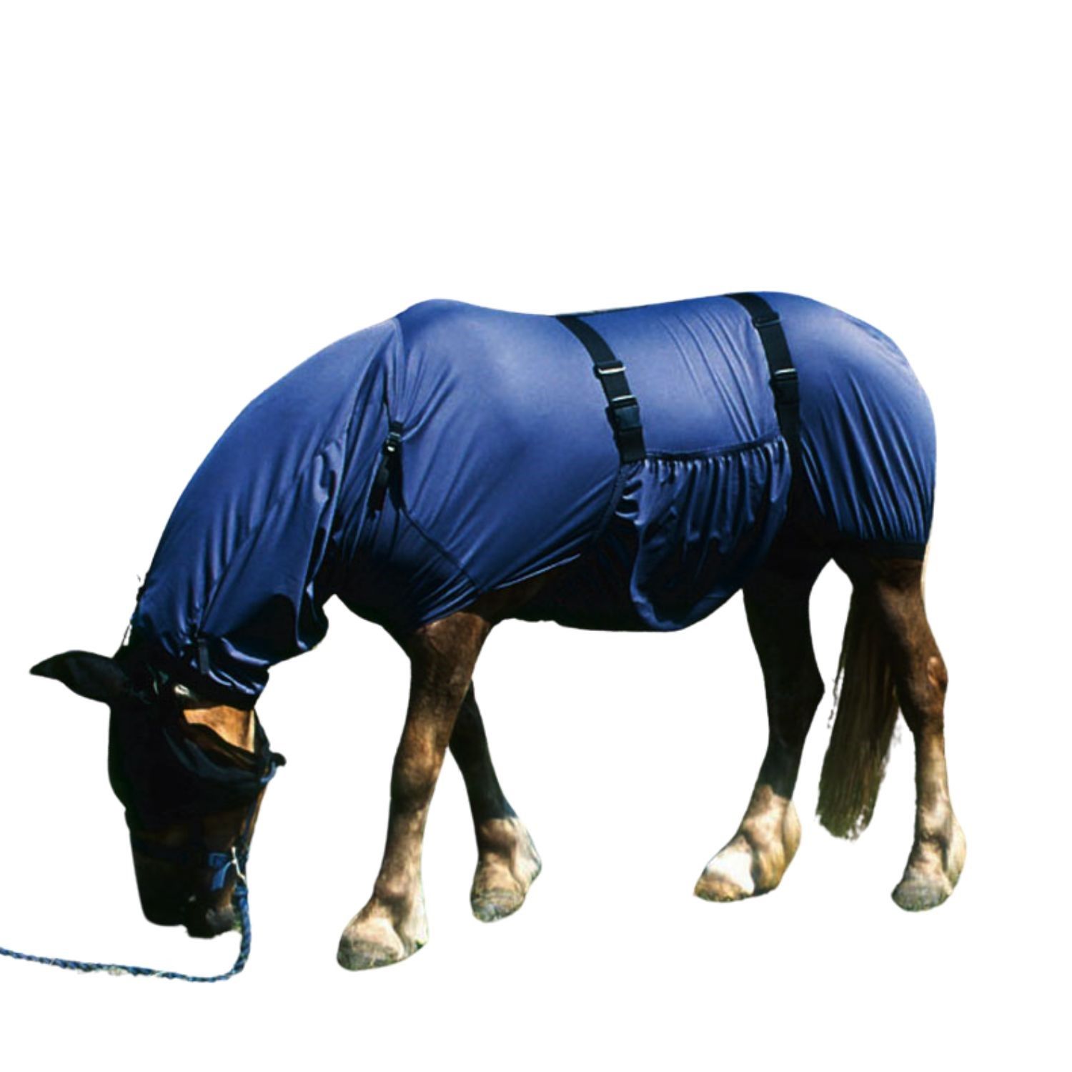 Pferde-Ekzemdecke, blau, mit integrierter Kapuze und Bauchgurt. Das Pferd frisst.