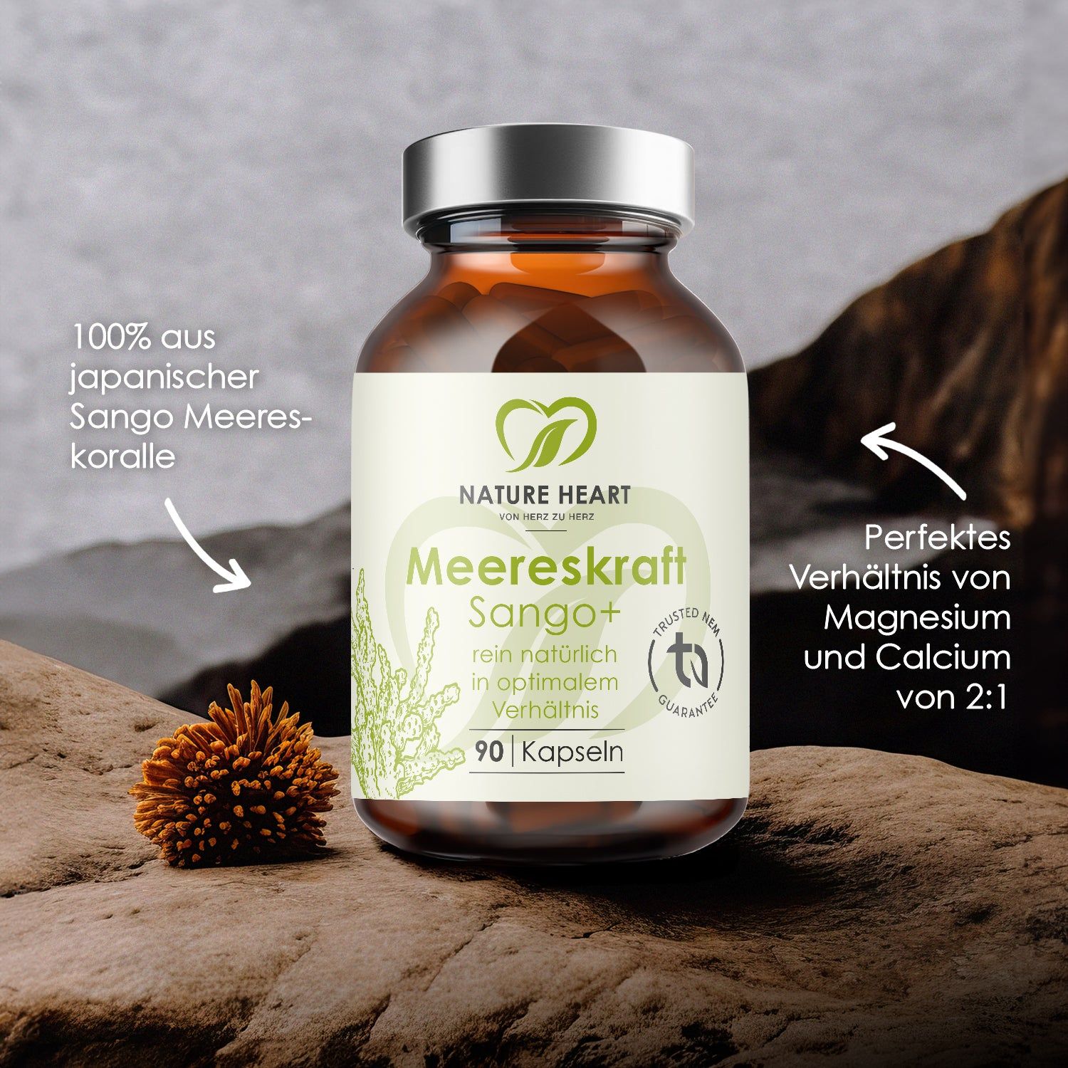 Meereskraft Sango+