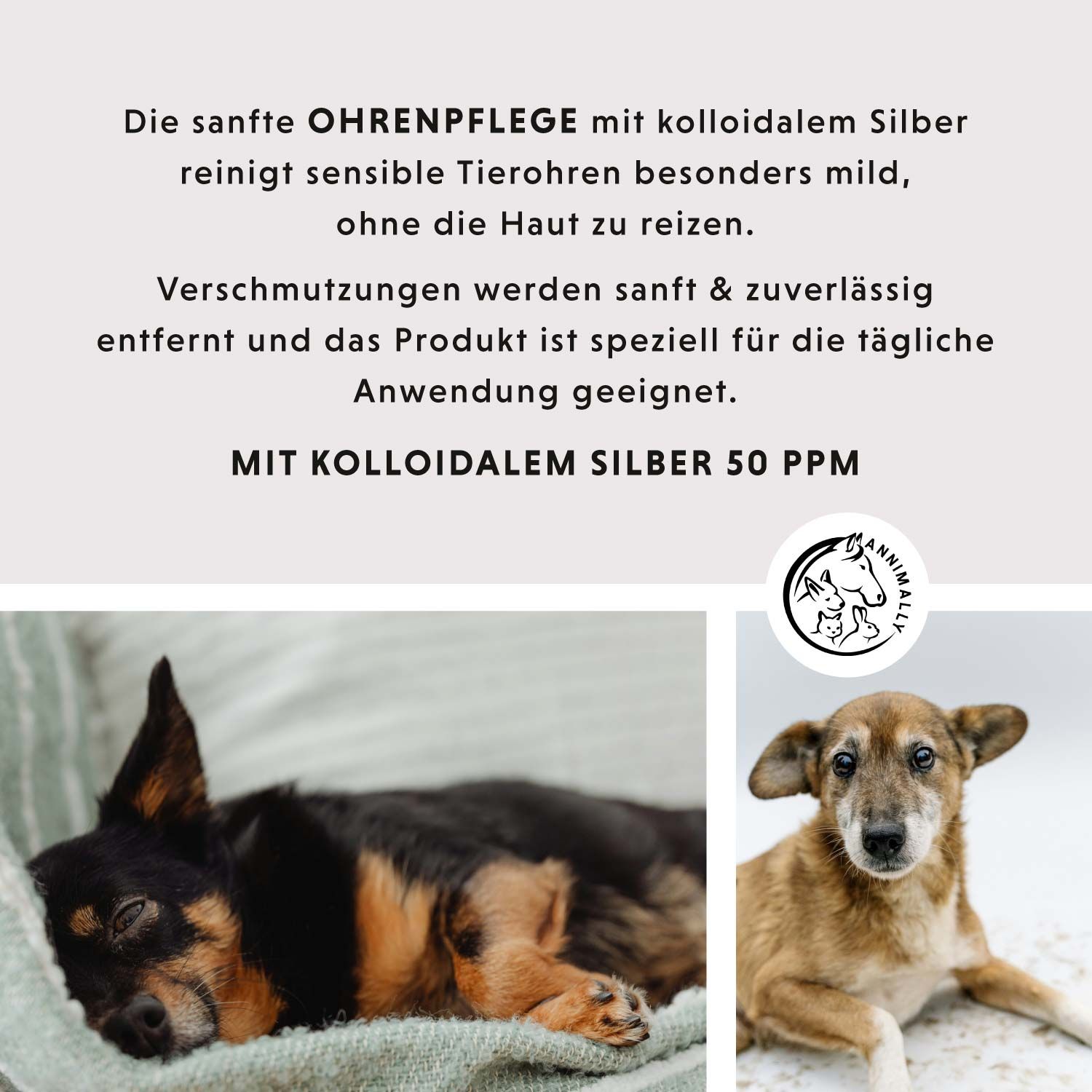Text mit Informationen zur Ohrenpflege mit kolloidalem Silber. Logo mit Tierabbildungen. Fotos von Hunden.