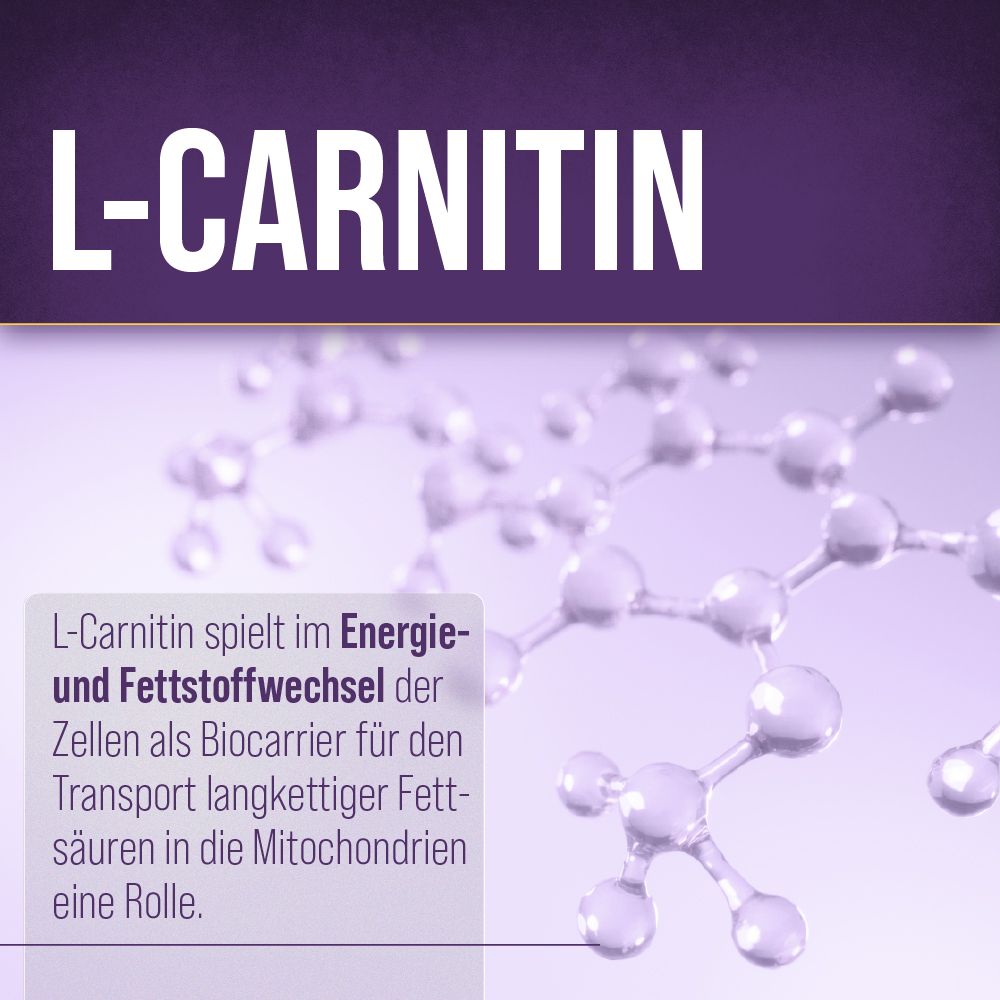 Grafik mit dem Wort L-CARNITIN. Molekülstruktur im Hintergrund. Text über die Rolle von L-Carnitin im Stoffwechsel.