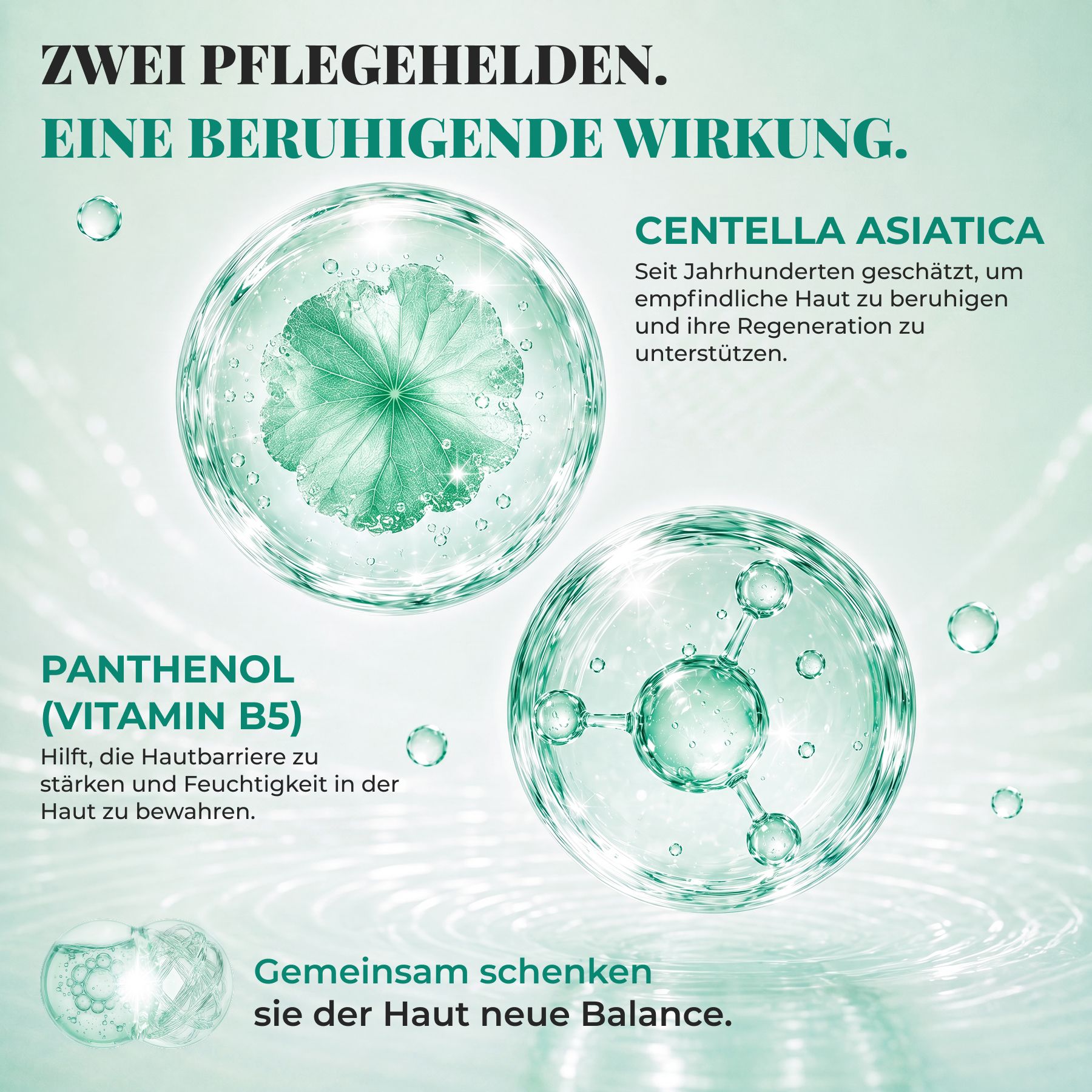 KORMESIC Gesichtscreme Centella Asiatica B5 Kapselcreme Beruhigend