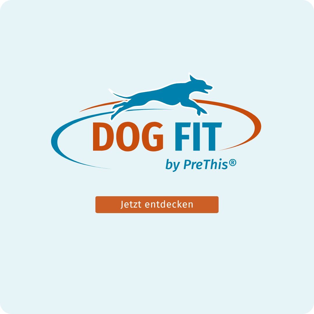 Logo DOG FIT by PreThis®. Text: Jetzt entdecken. Orangefarbener Button. Blauer Hintergrund.