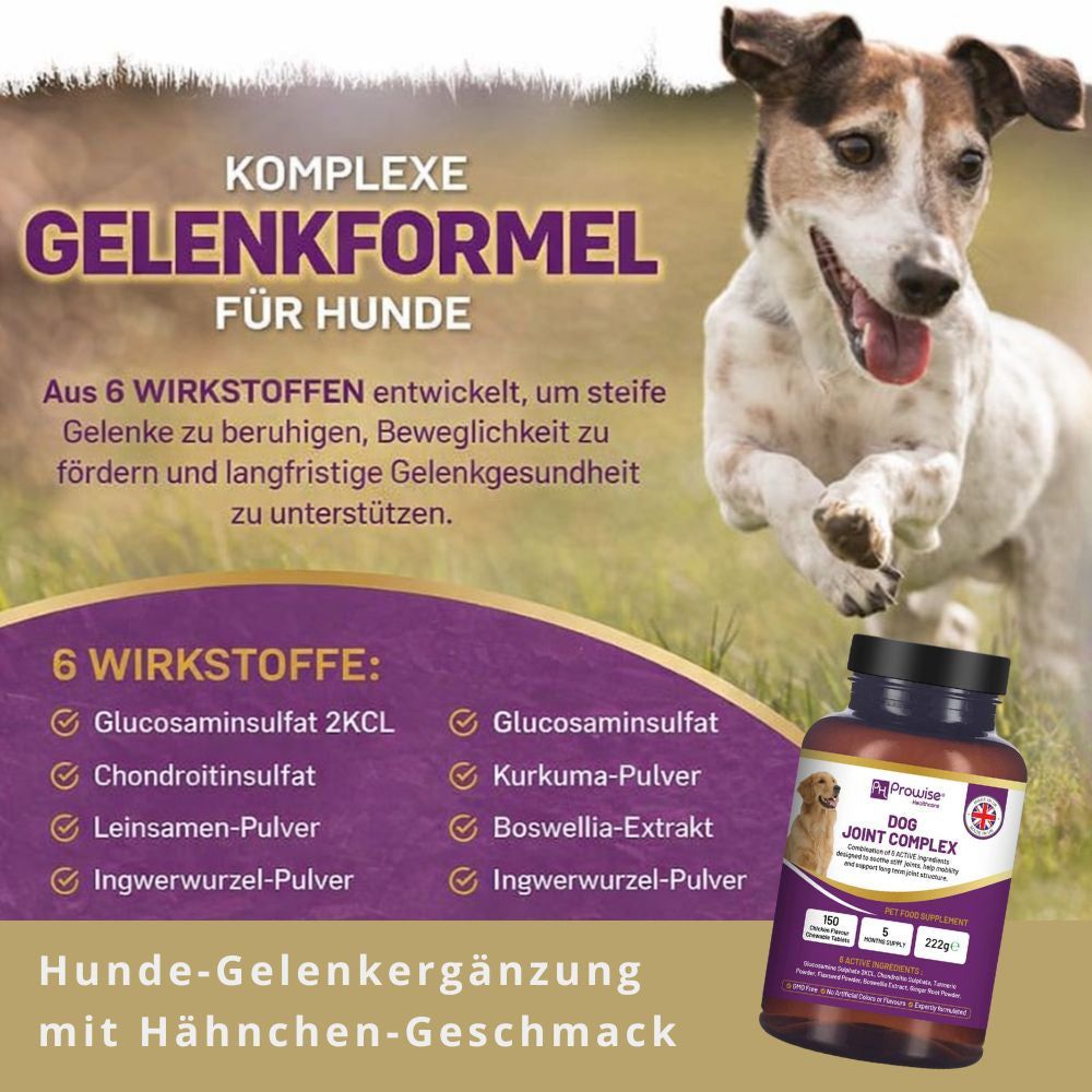 Produktflasche mit Aufschrift Dog Joint Complex. Enthält 6 Wirkstoffe. Hunde-Gelenkergänzung mit Hähnchen-Geschmack.