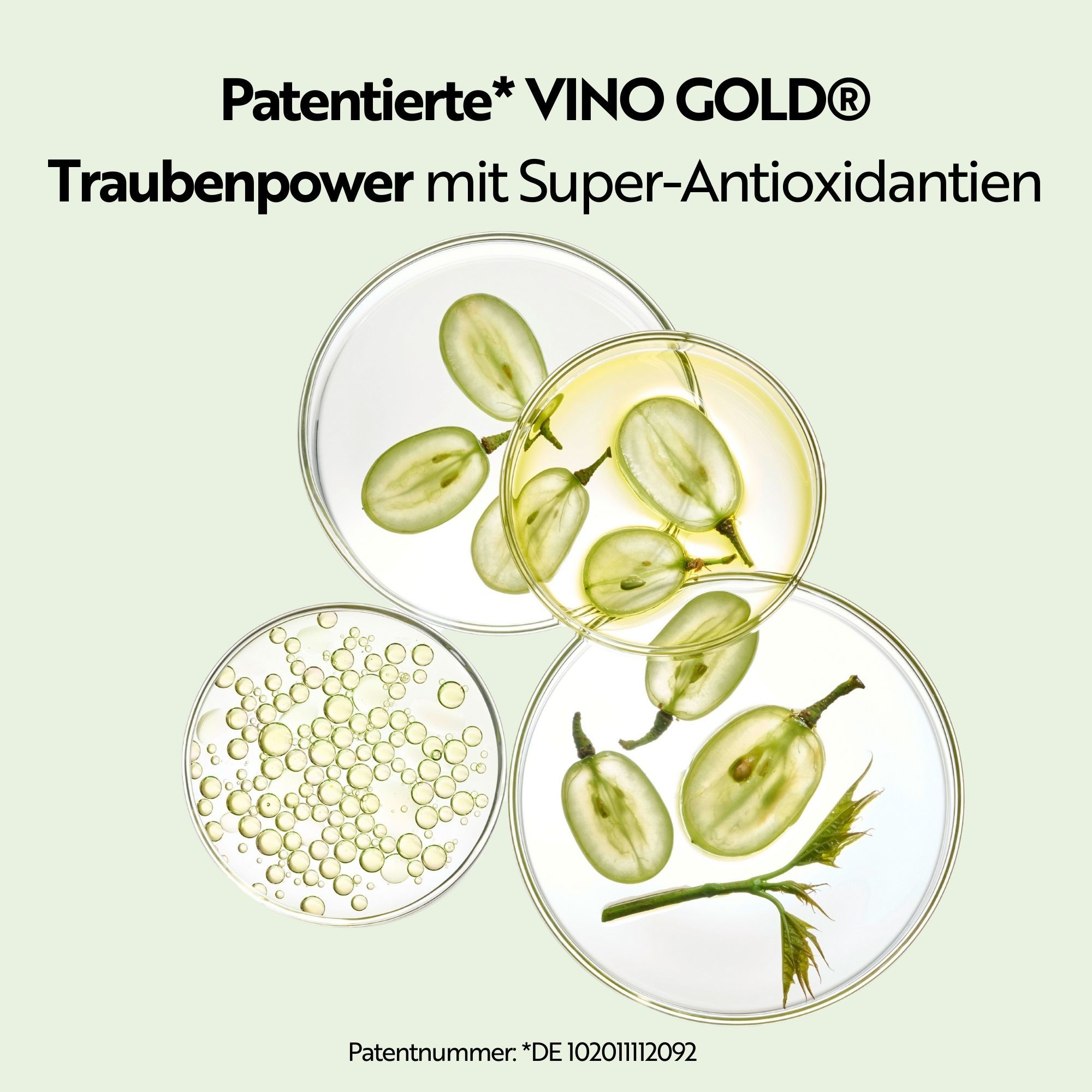 Abbildungen von Trauben und Öl. Text: Patentierte VINO GOLD Traubenpower mit Super-Antioxidantien. Patentnummer.