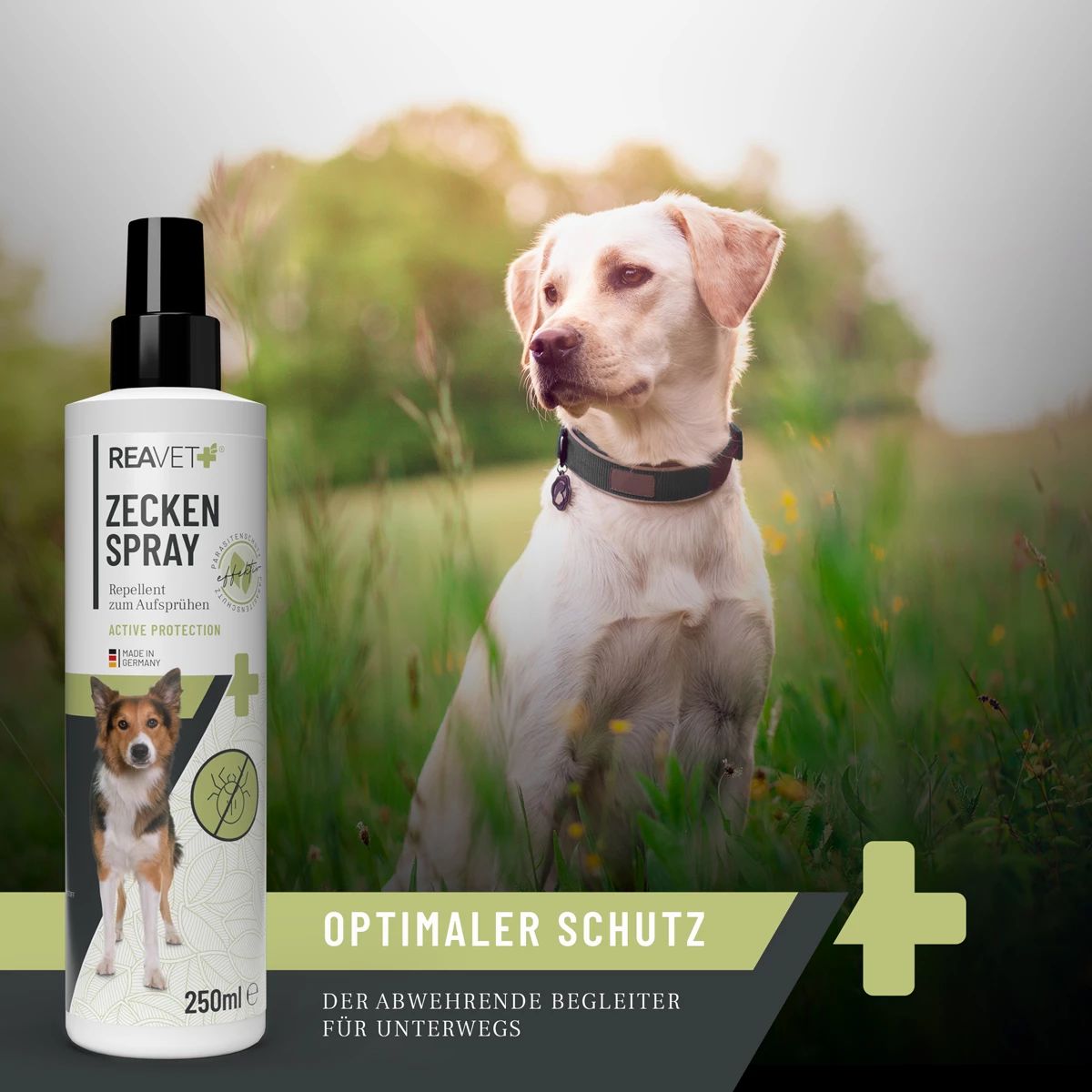 ReaVET Zeckenspray Flasche neben Hund im Gras. Aufschrift: Zeckenspray, 250ml. Text: Optimaler Schutz, der abwehrende Begleiter.