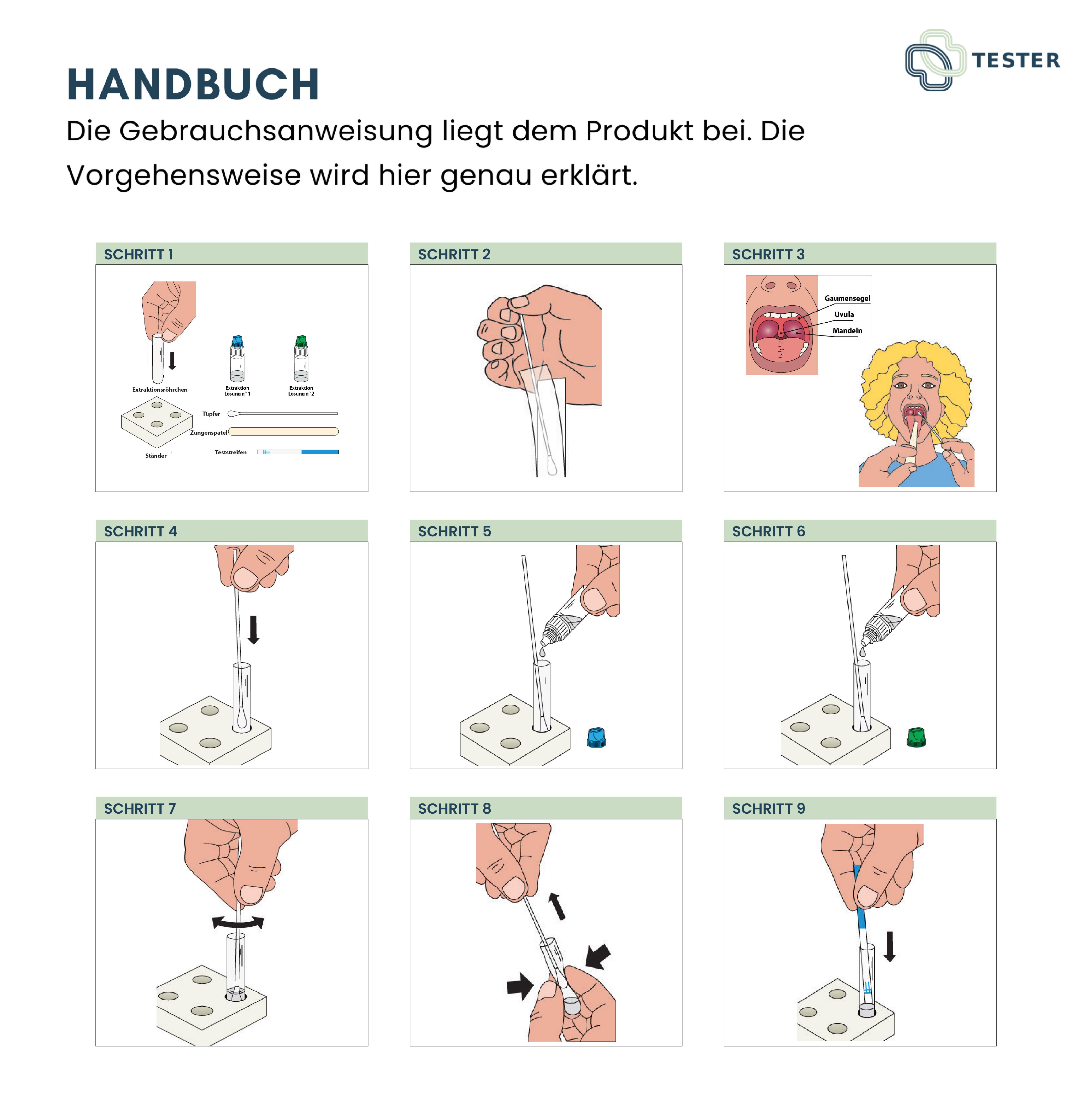 Anleitung mit 9 Schritten zur Durchführung eines Tests. Abbildungen von Teststäbchen, Reagenzien und Rachen.