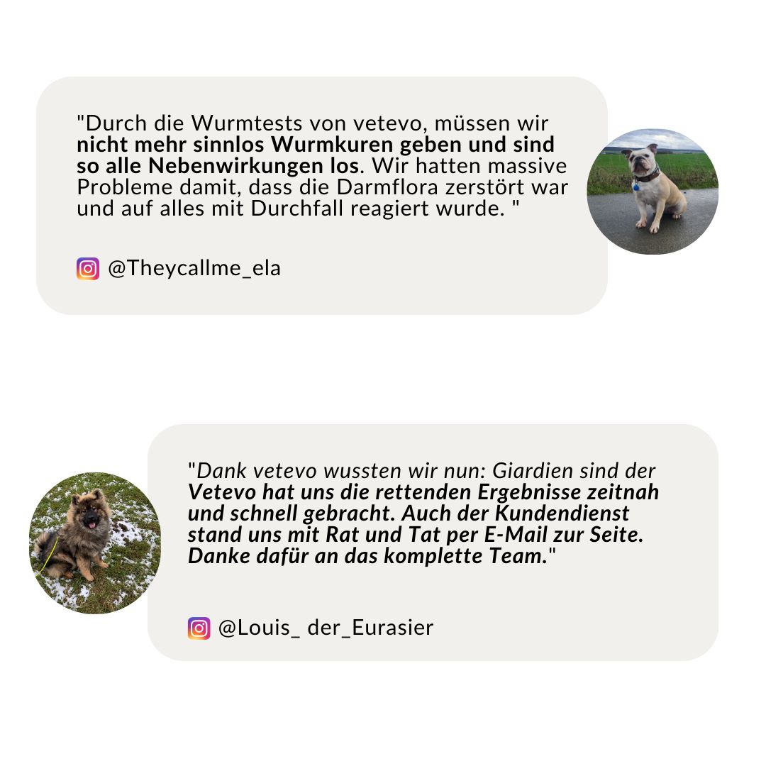 Kundenbewertungen eines Wurmtests für Hunde mit Fotos von Hunden und Instagram-Handles.