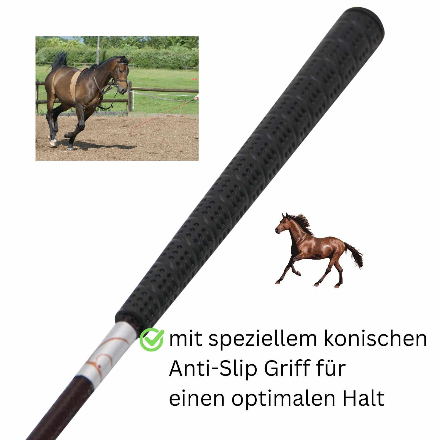 Longierpeitsche mit speziellem konischen Anti-Slip Griff. Im Hintergrund ein Pferd. Text: für einen optimalen Halt.