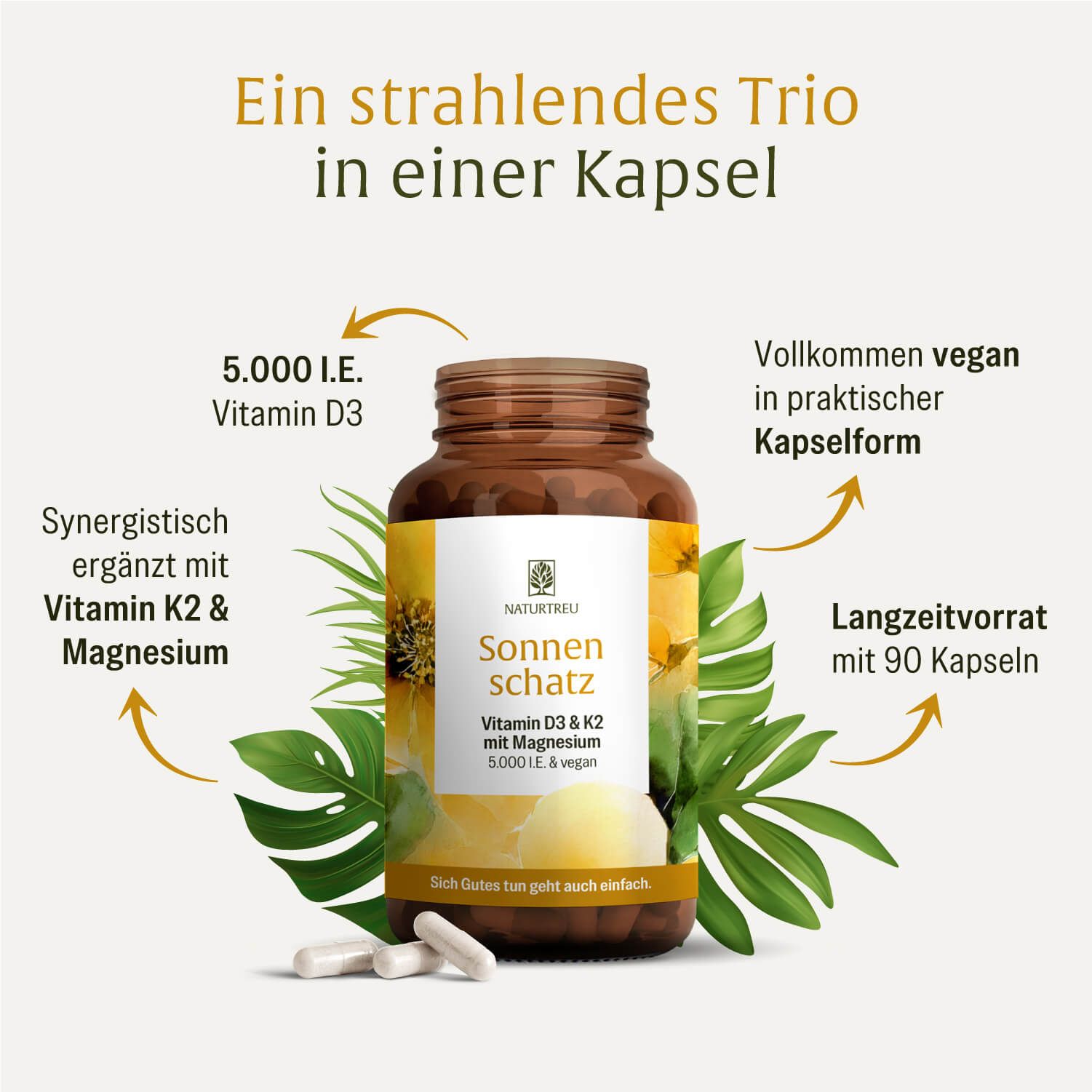 Braune Flasche mit Kapseln, umgeben von Blättern. Text: Sonnenschatz Vitamin D3 & K2 mit Magnesium. 5.000 I.E. & vegan. Pfeile mit Produktinformationen.