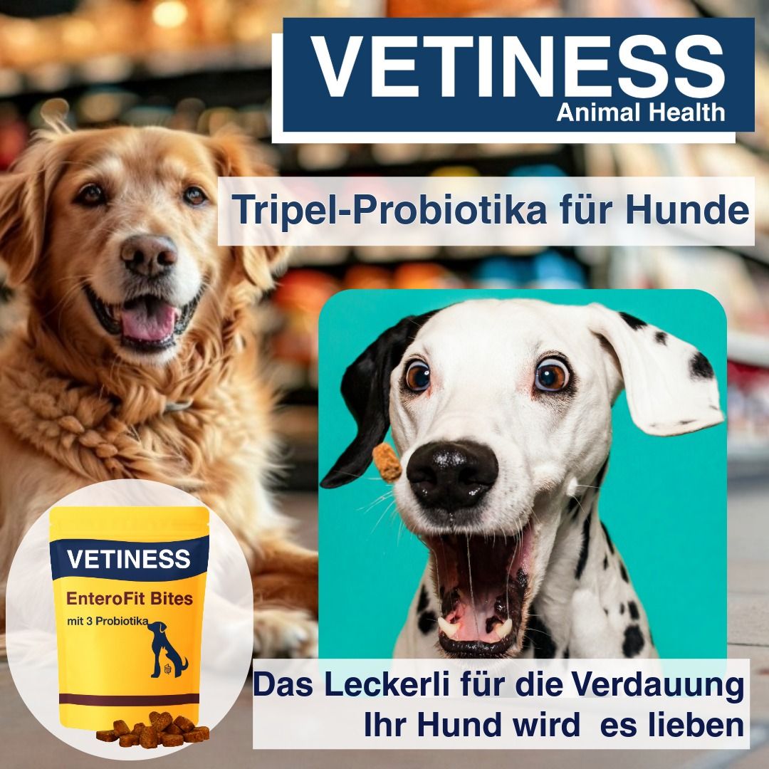 Gelbe Verpackung Vetiness EnteroFit Bites. Text: Tripel-Probiotika für Hunde. Hund mit geöffnetem Maul, hält einen Bite. Hunde-Silhouette.