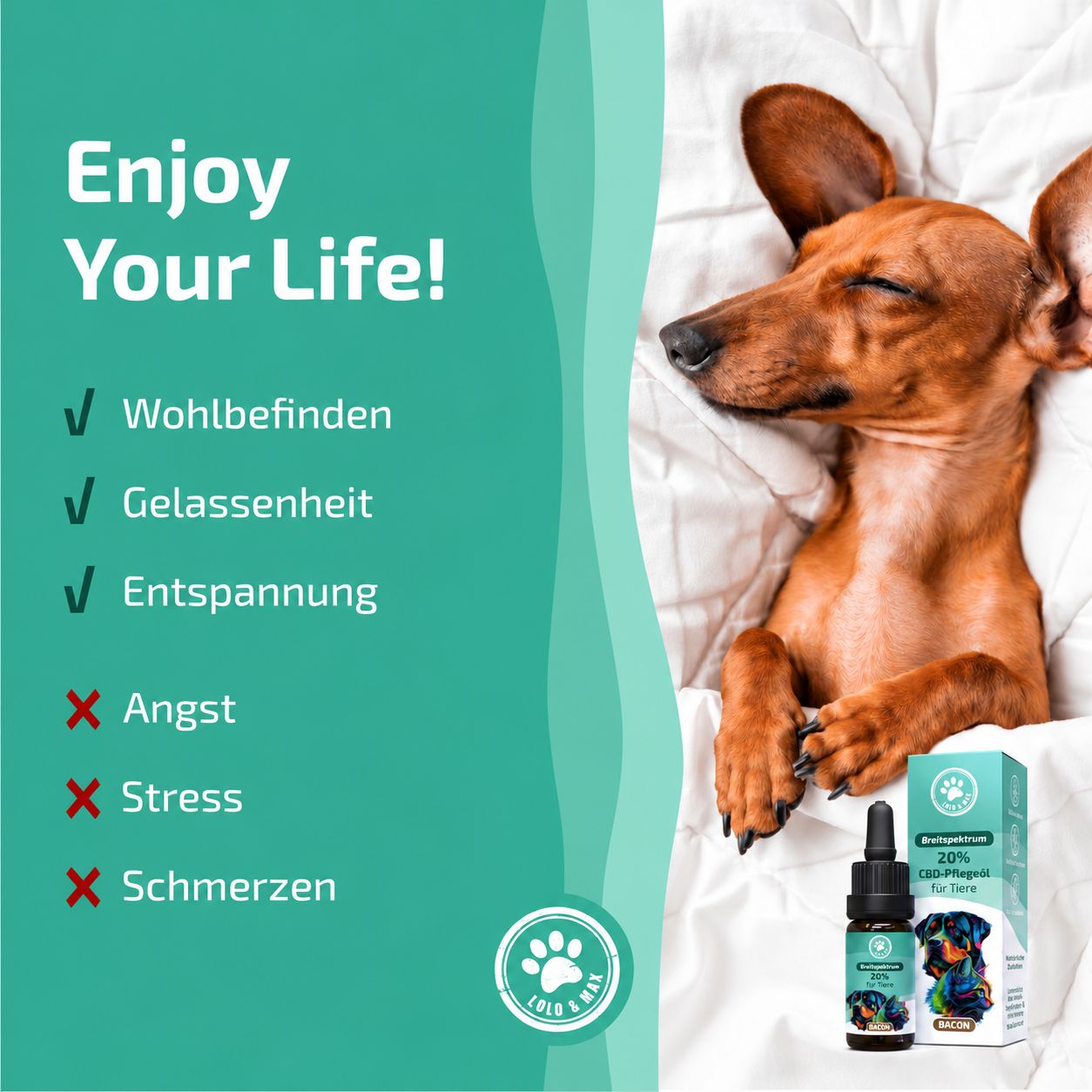 Flasche und Karton für 20% CBD-Pflegeöl für Tiere, mit Hund- und Katzengrafik.