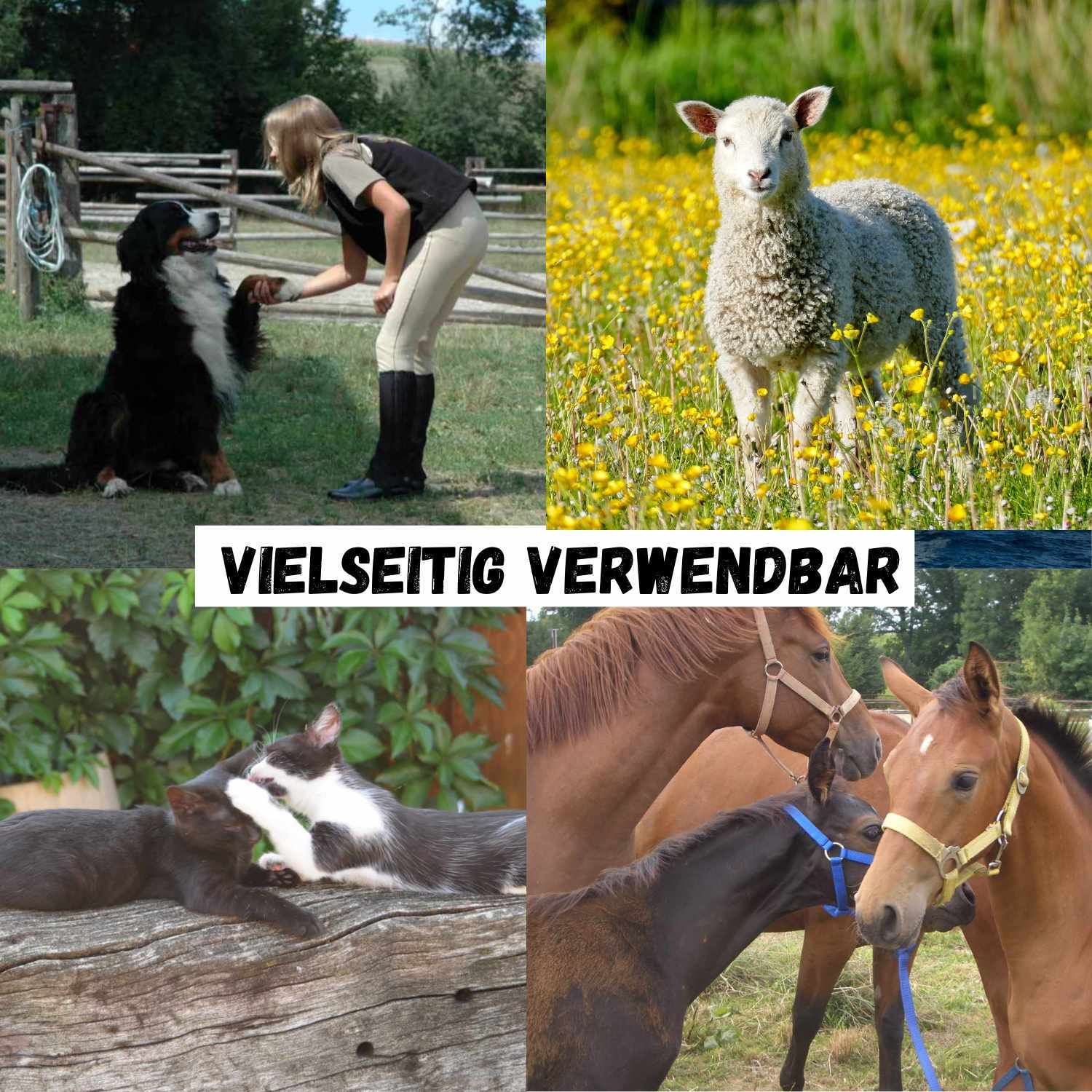 Ballistol Animal Tierpflege