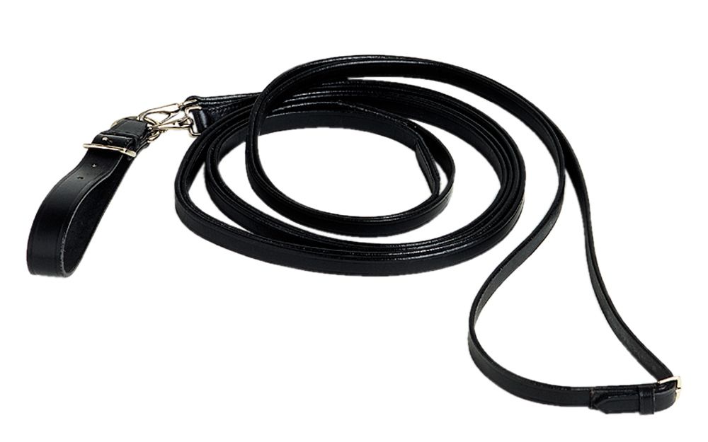 Schwarzer Schlaufzügel aus Leder mit Metallverschlüssen.