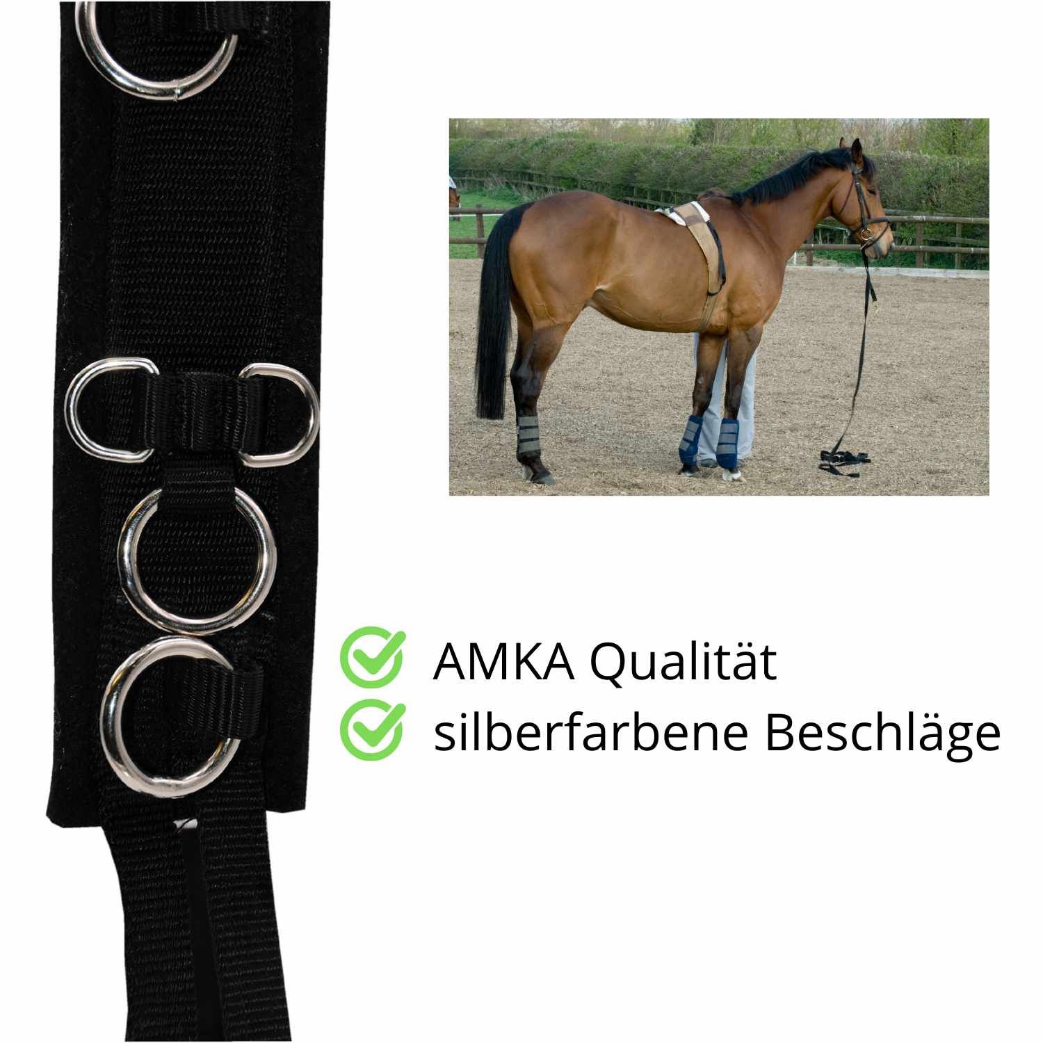 Longiergurt mit Pferd. Text: AMKA Qualität, silberfarbene Beschläge.