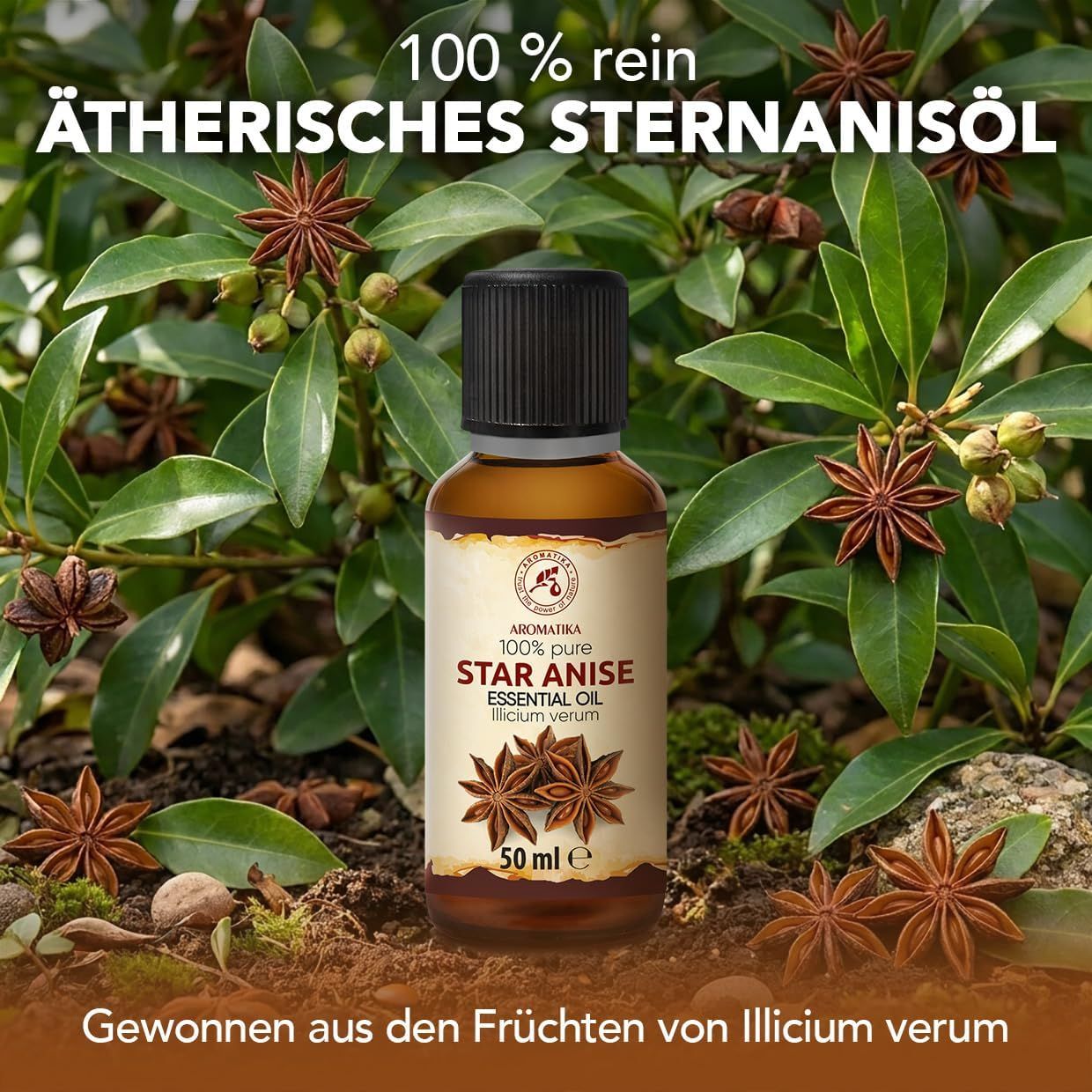 Braune Glasflasche mit Sternanisöl, 50 ml. Umgeben von Sternanisfrüchten und Blättern.