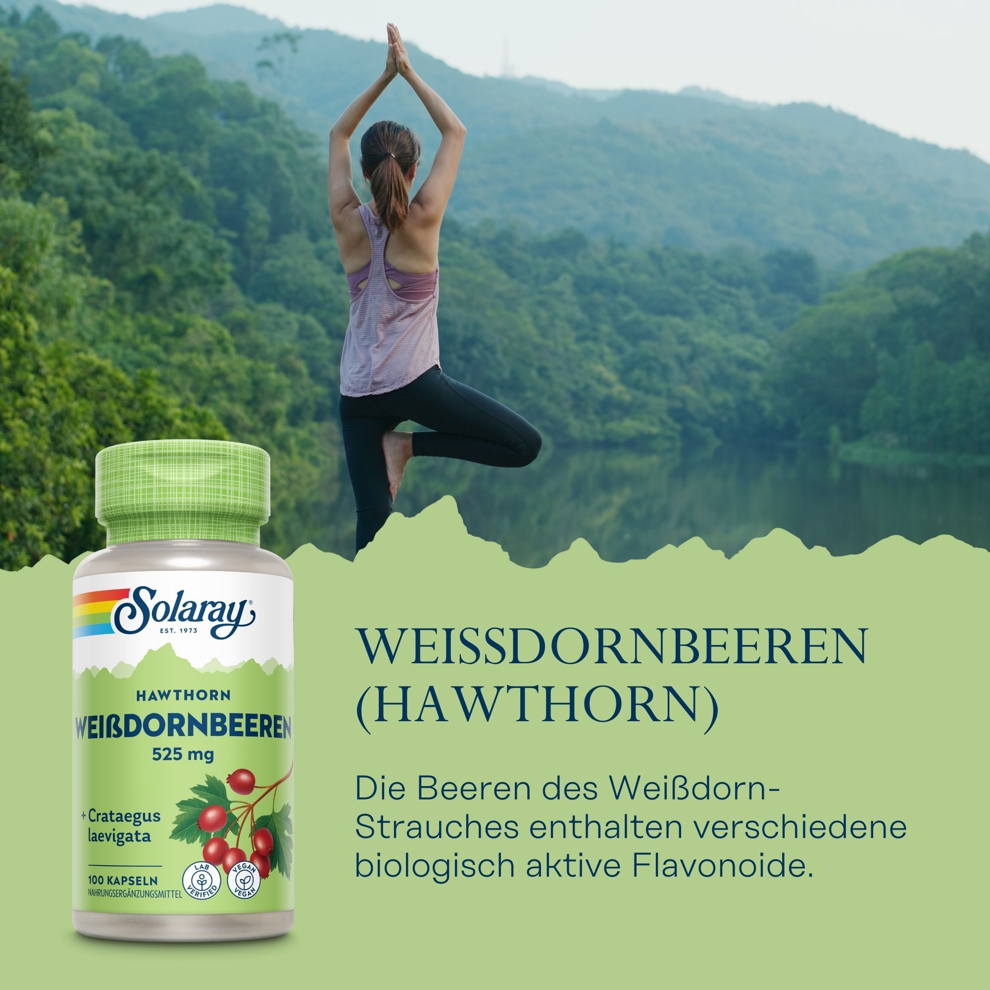 Grüne Flasche mit Solaray Weißdornbeeren. Aufschrift: Weißdornbeeren 525 mg, 100 Kapseln. Frau macht Yoga im Hintergrund.