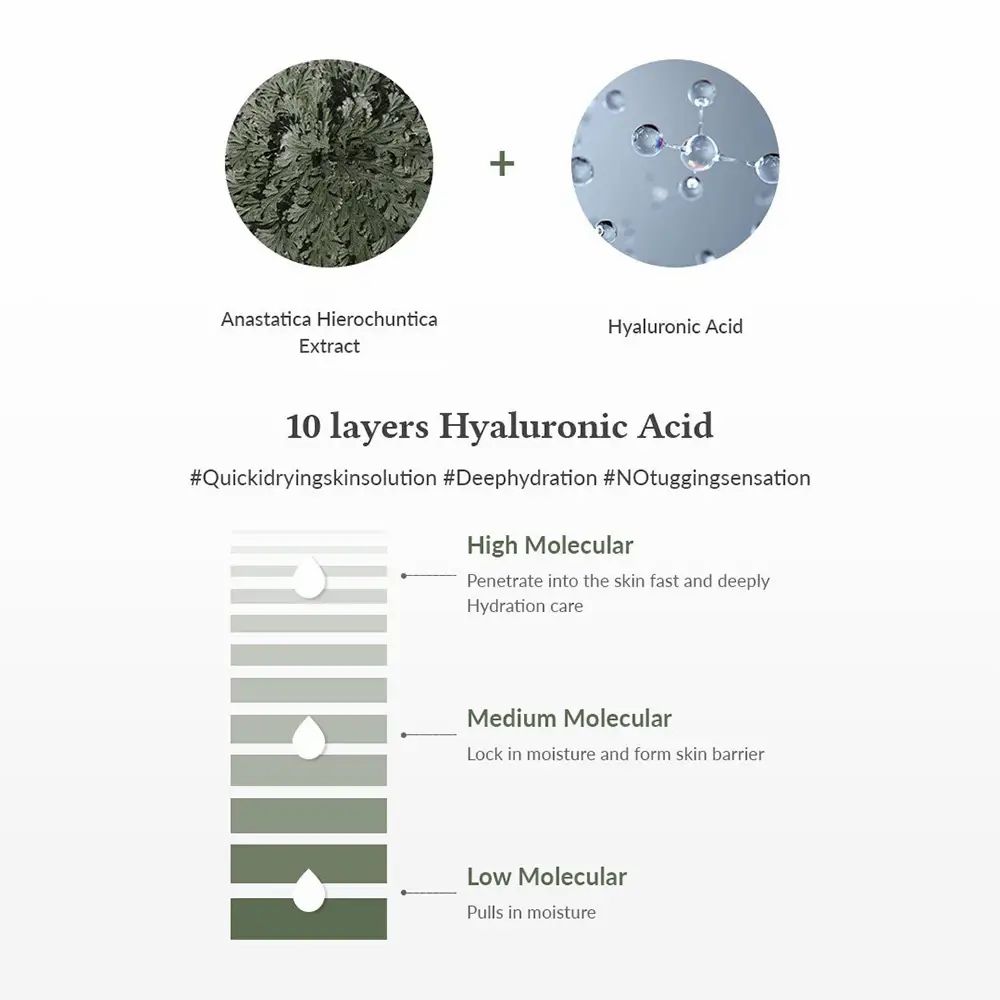 Grafik zeigt Anastatica Hierochuntica Extrakt und Hyaluronsäure. 10 Schichten Hyaluronsäure mit unterschiedlichen Molekulargrößen.