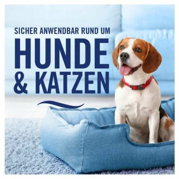 Beagle-Hund sitzt in blauem Hundebett. Text: SICHER ANWENDBAR RUND UM HUNDE & KATZEN.