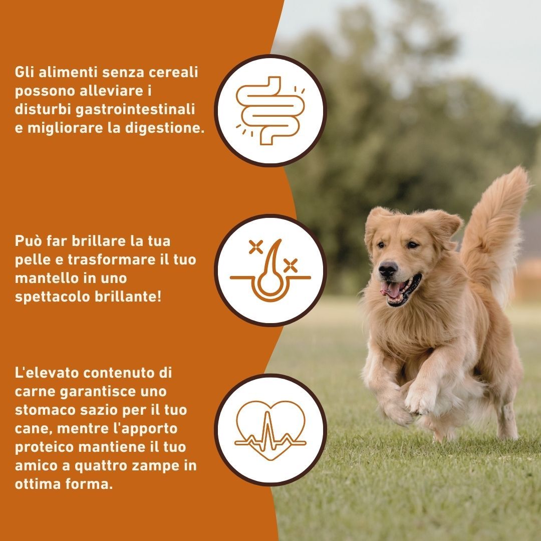 Vorteile von getreidefreiem Hundefutter. Verbesserung der Verdauung, glänzendes Fell, gesunde Herzfunktion.