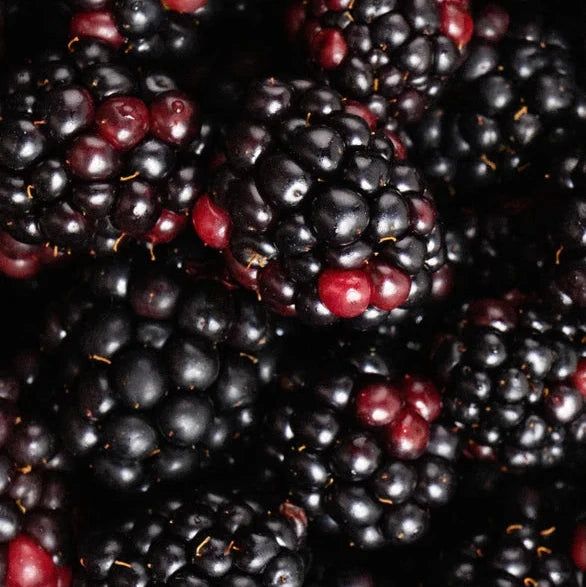 Nahaufnahme von Brombeeren.