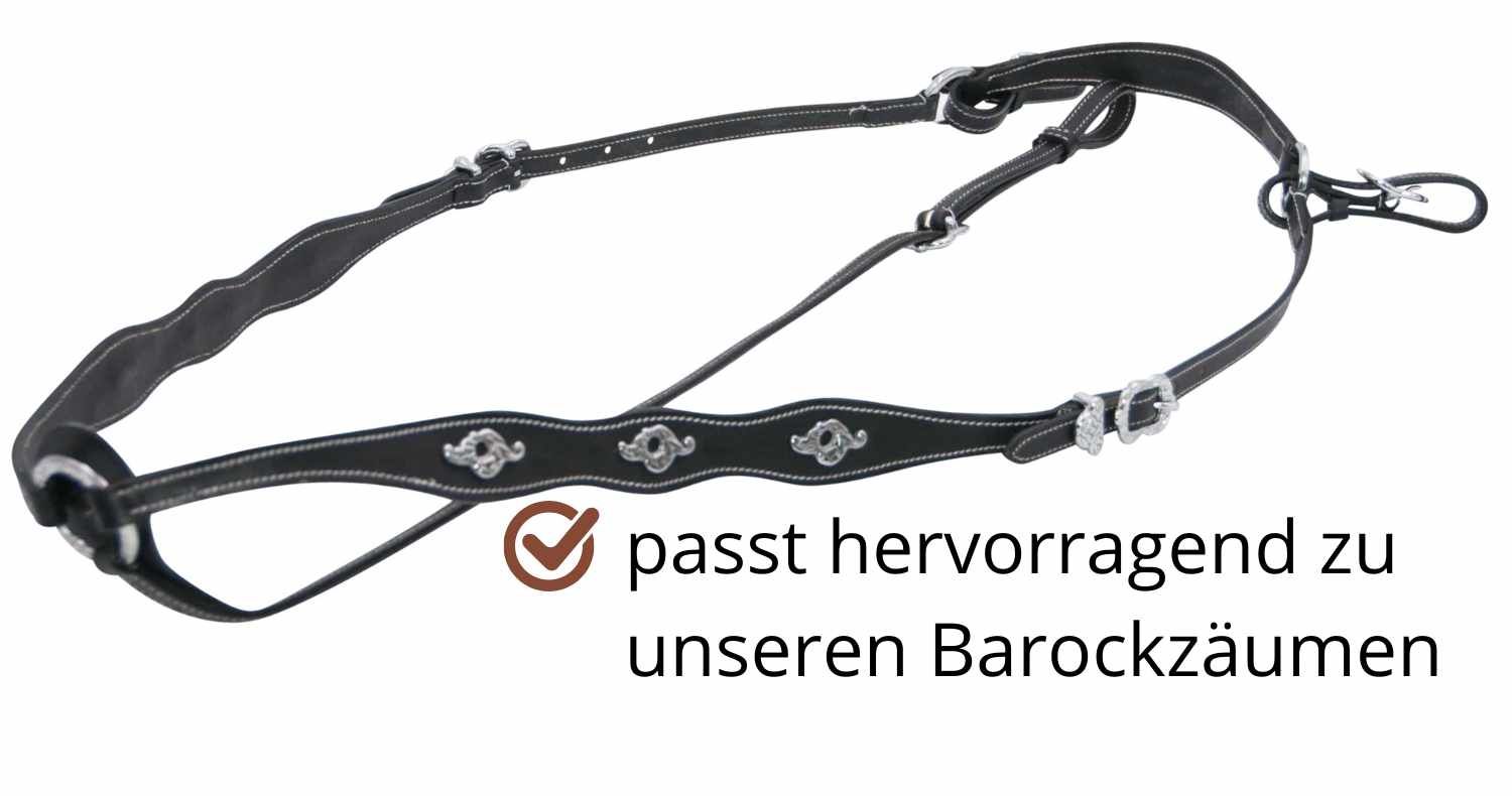 Schwarzes Vorderzeug mit silbernen Verzierungen und weißen Nähten. Text: passt hervorragend zu unseren Barockzäumen.